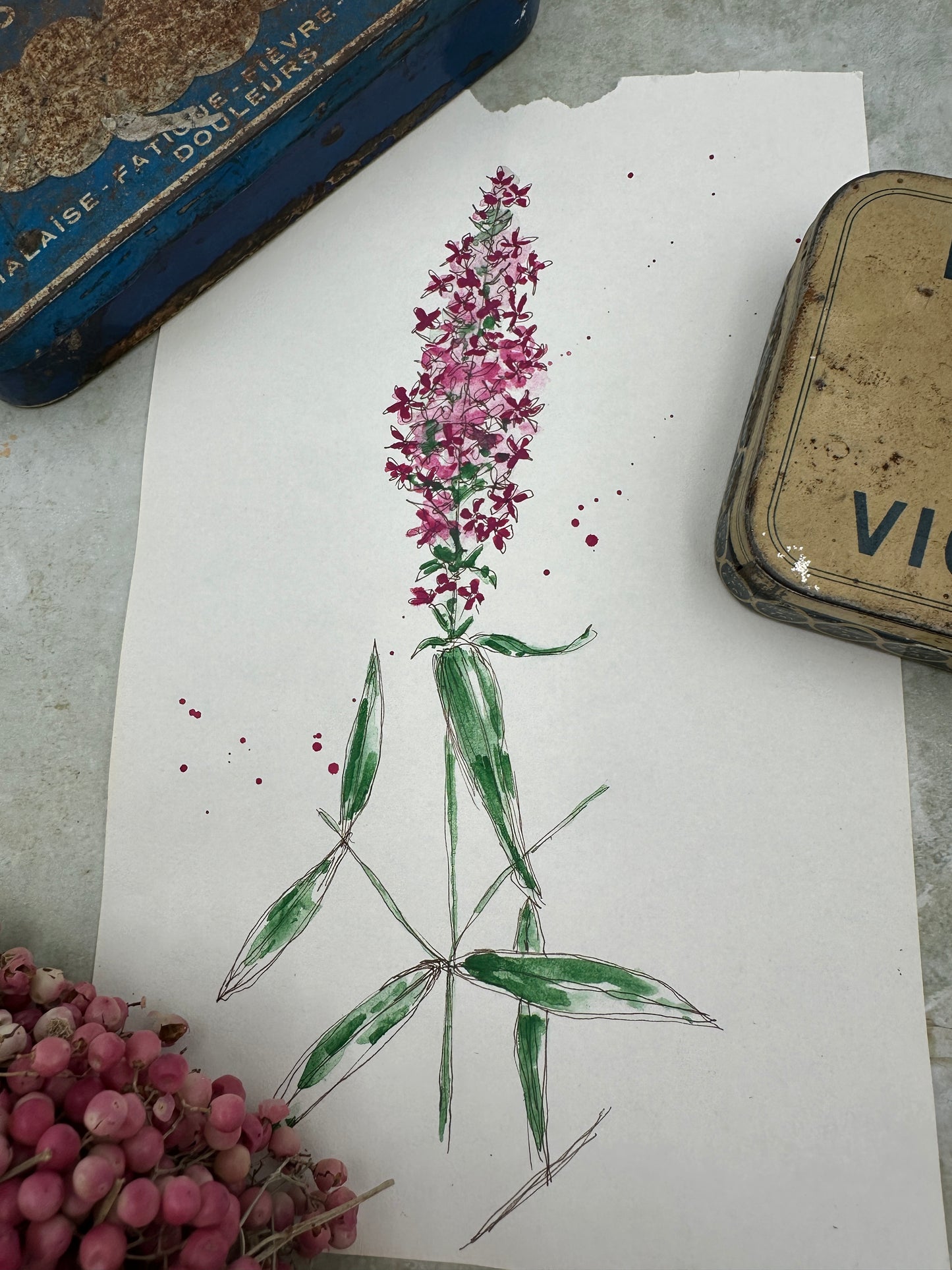 Rose Fuchsia - No. 7