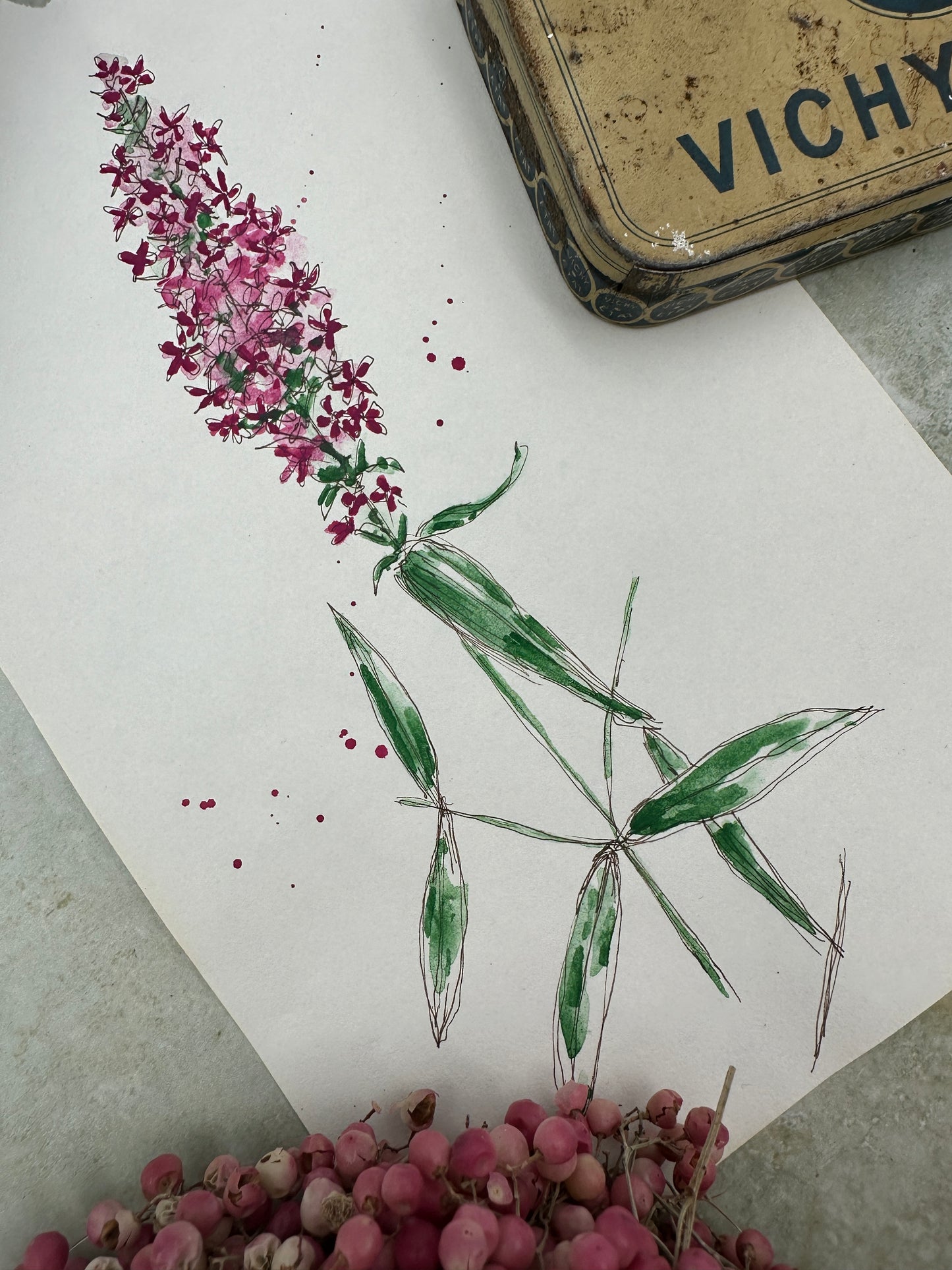 Rose Fuchsia - No. 7