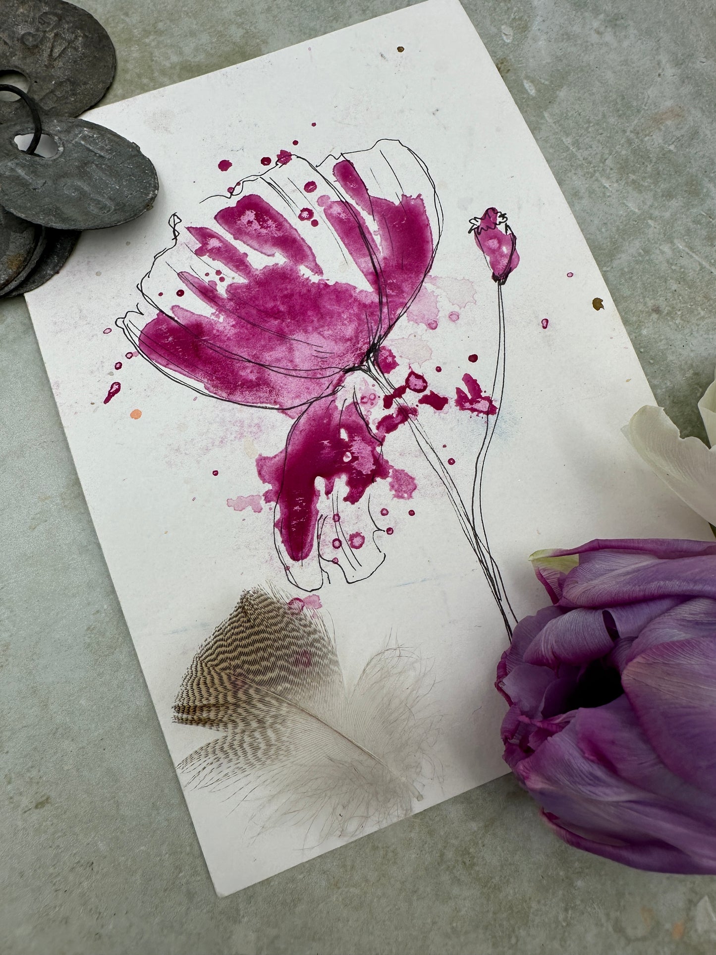 Rose Fuchsia - No. 7