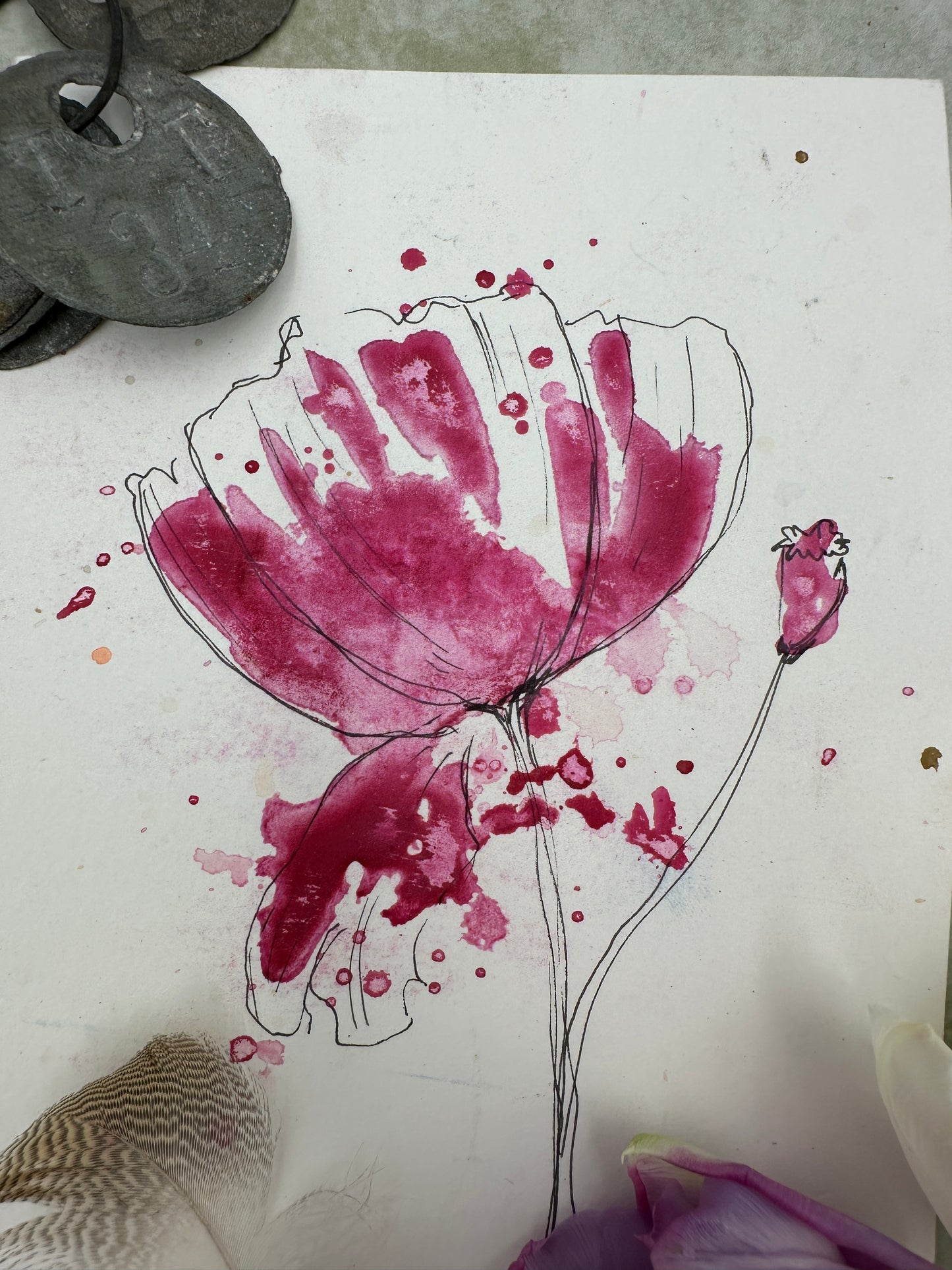 Rose Fuchsia - No. 7