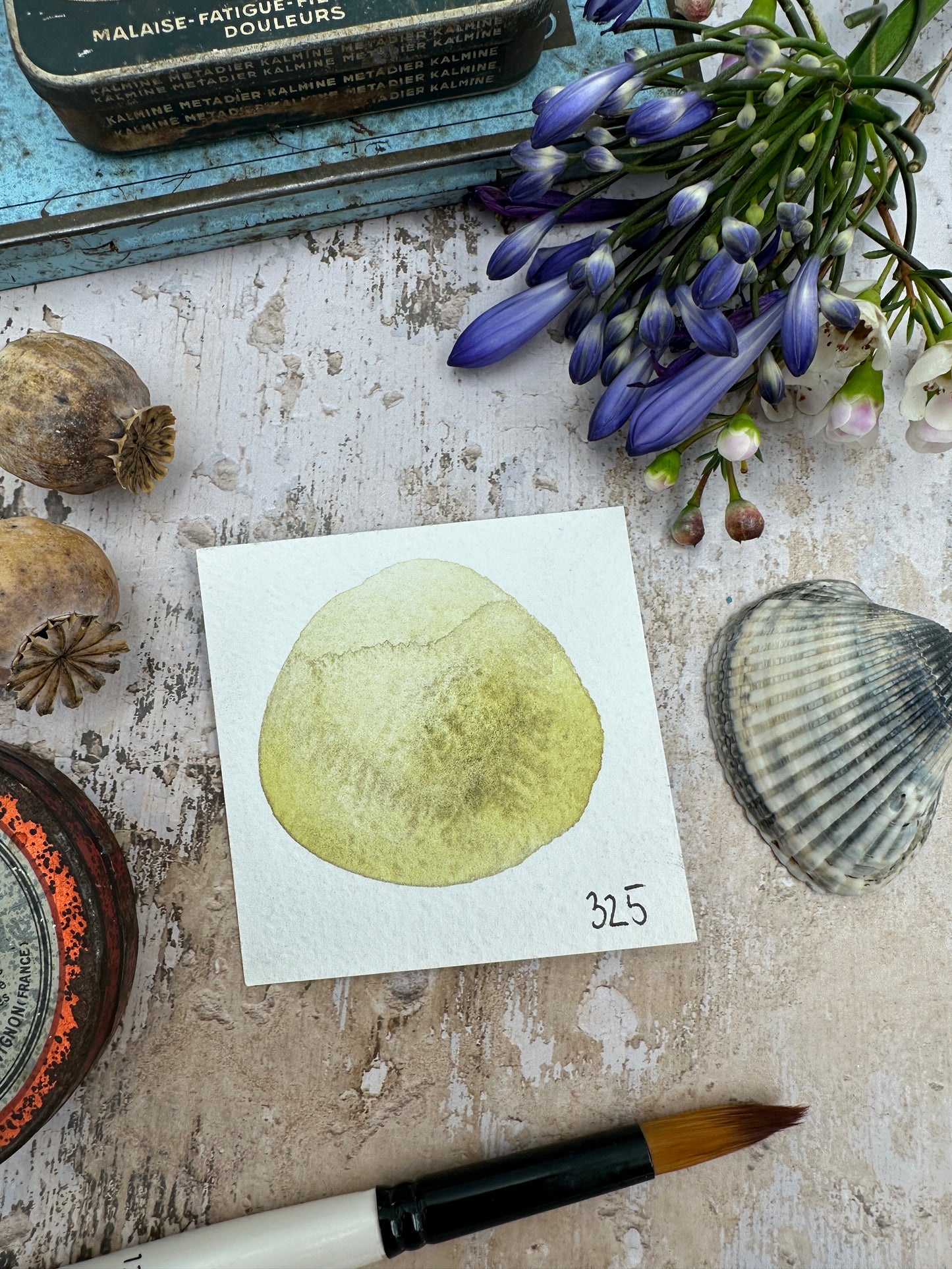 The Horoscope Collection 2025