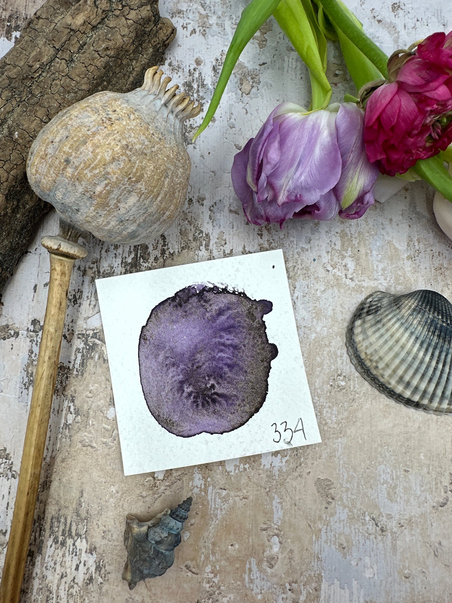 The Horoscope Collection 2025