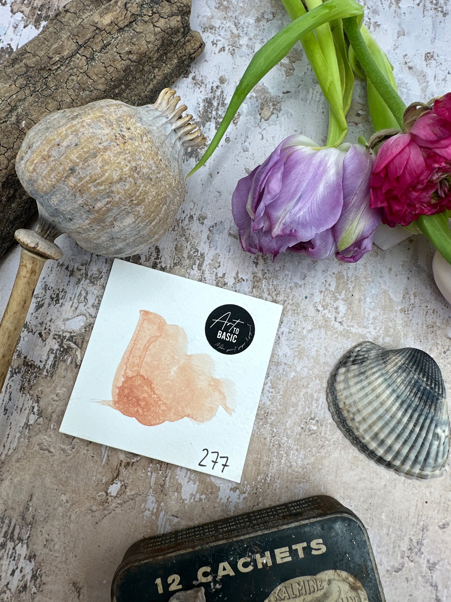 The Menopause Collection 2024 - Limited Edition