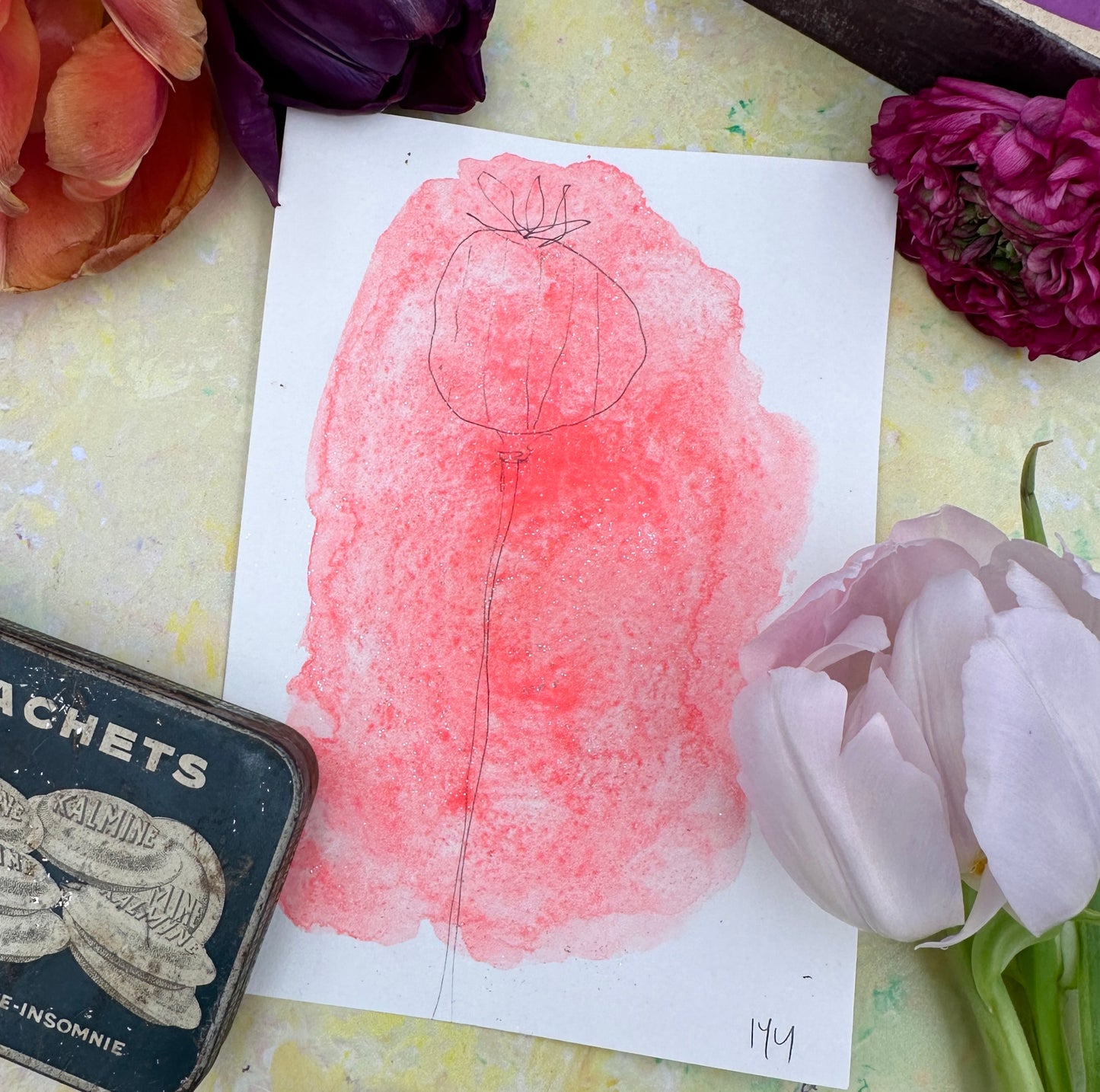 Coral Holo - No. 144