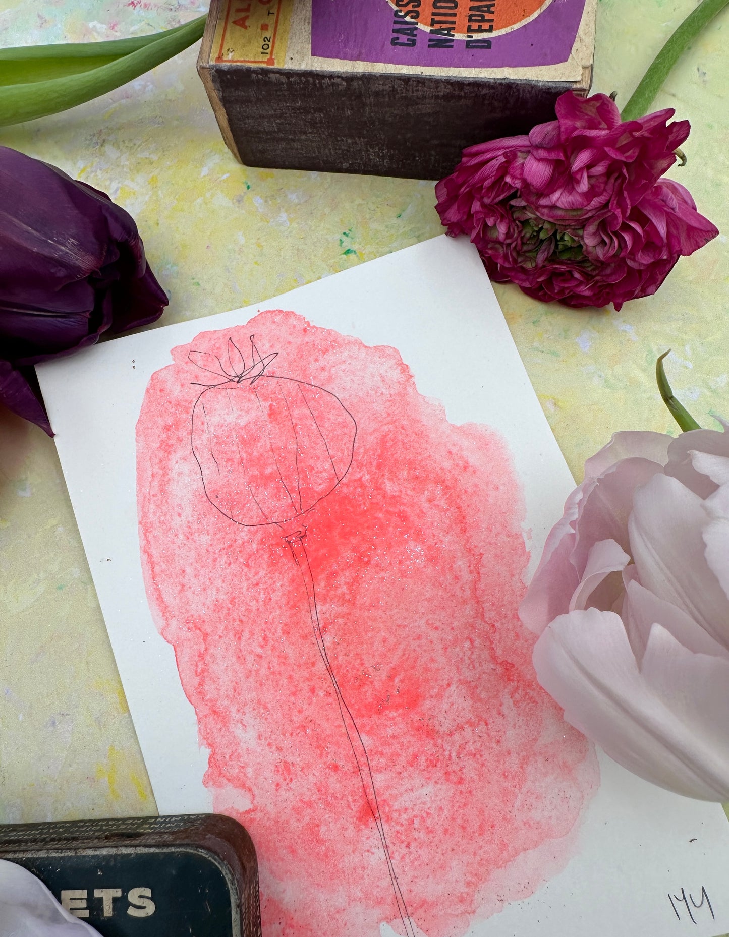 Coral Holo - No. 144