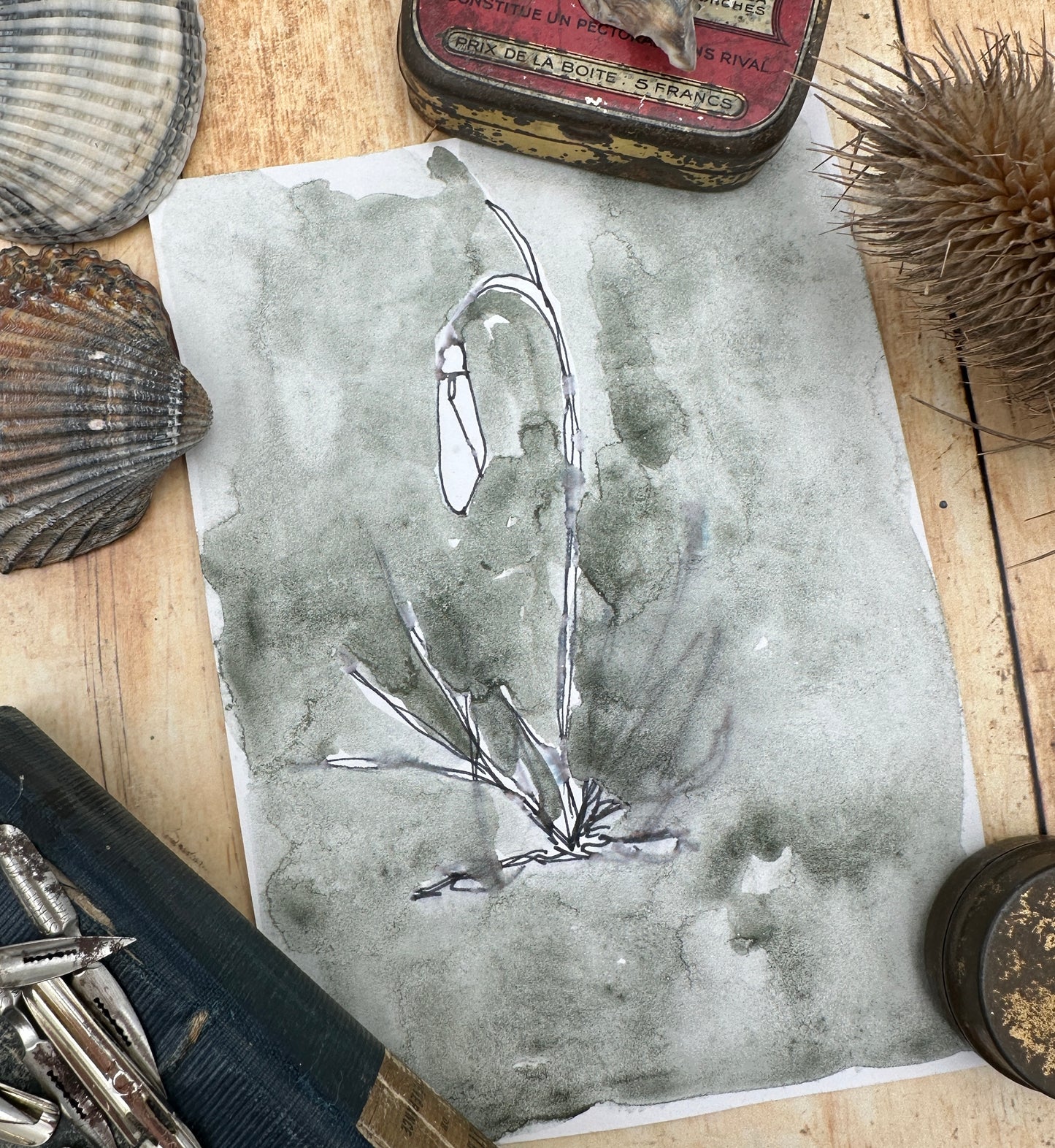 Green Monte Carlo - No. 143-SQ7108003