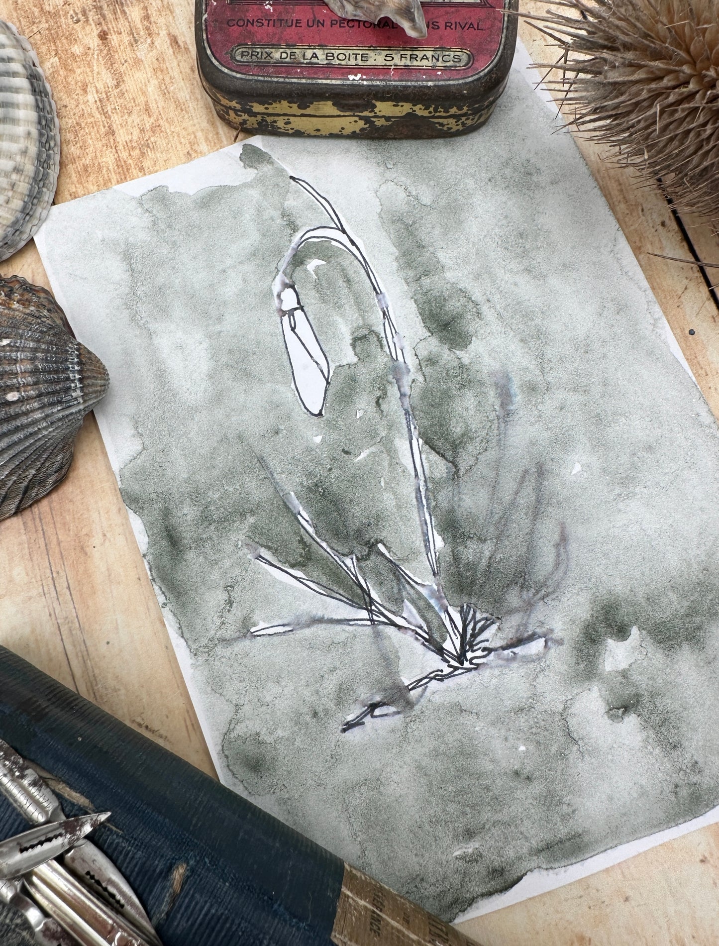 Green Monte Carlo - No. 143-SQ7108003