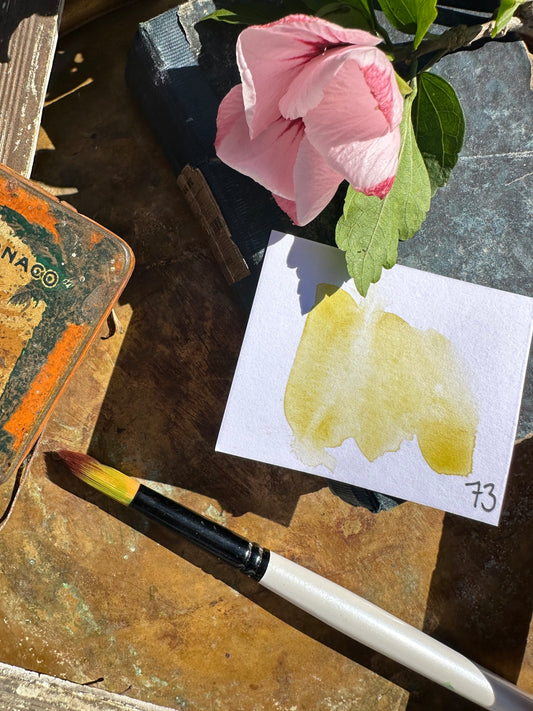 Sunkissed Yellow - No. 73-SQ3596900