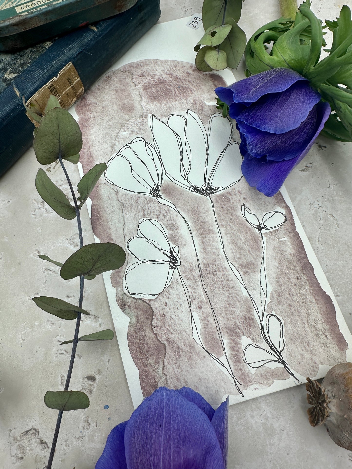 Bliss - No. 239 - half pan