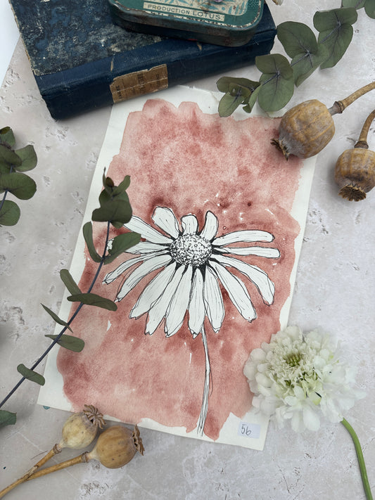 Venetian Red - No. 56