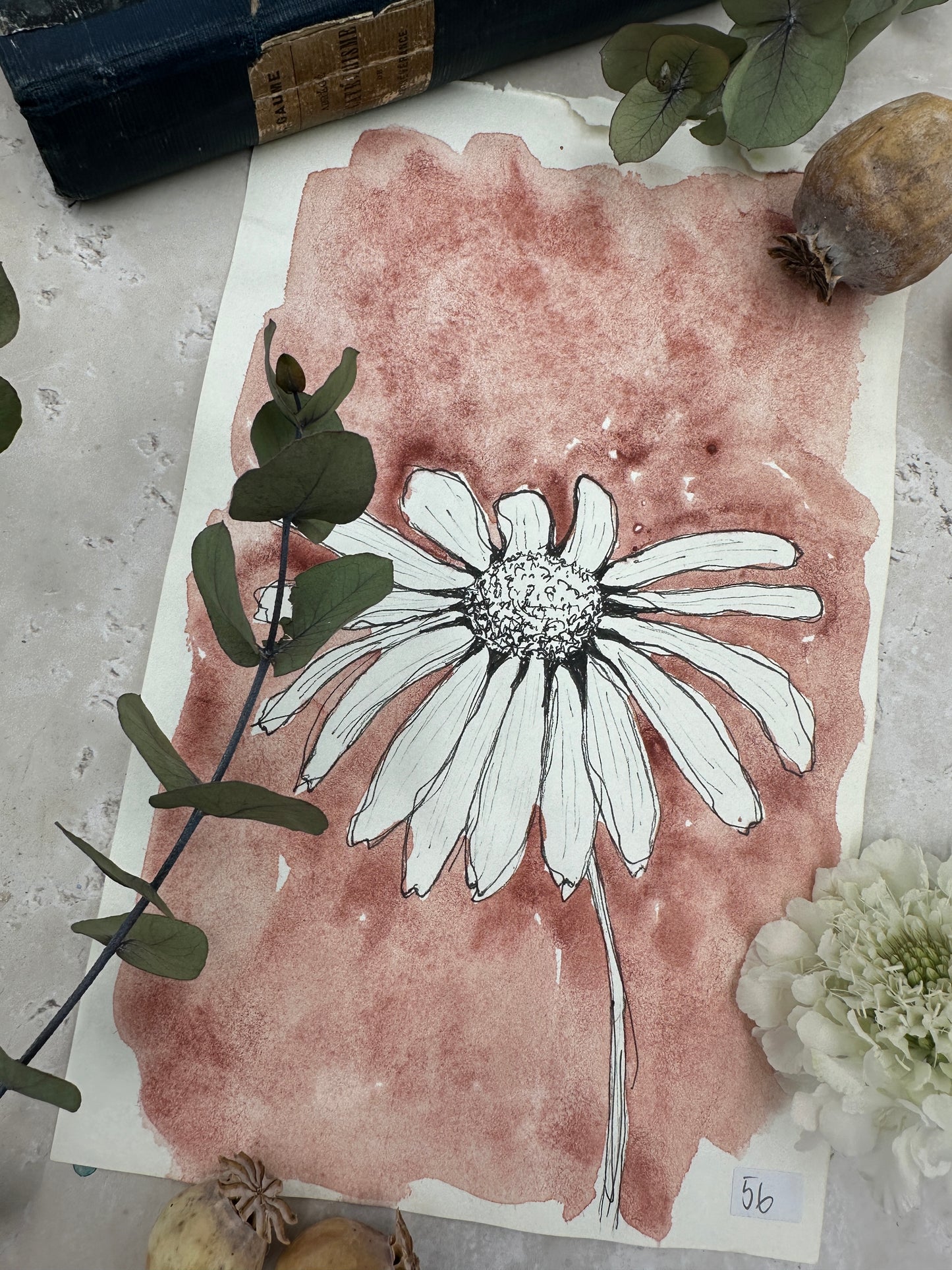 Venetian Red - No. 56