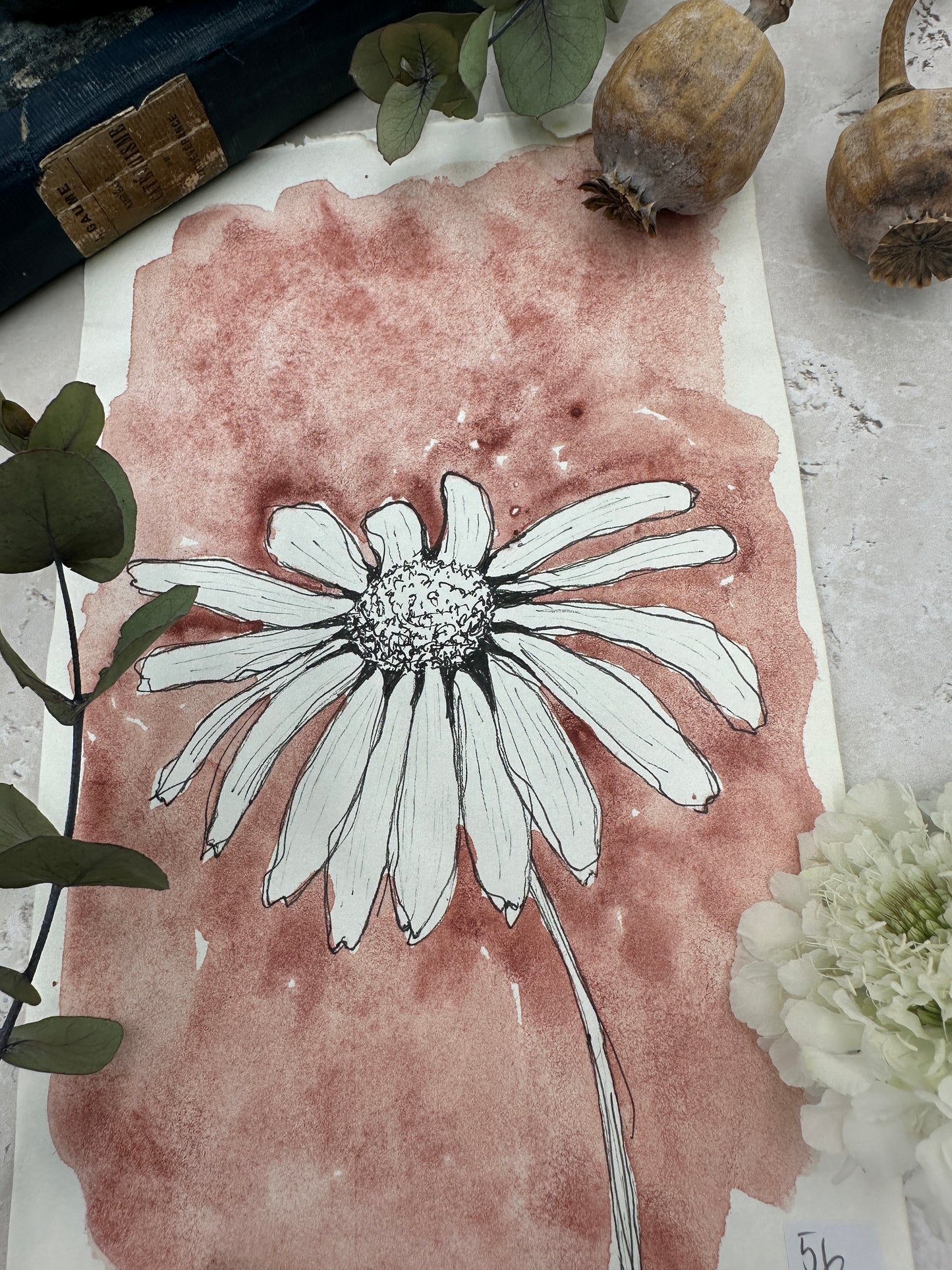 Venetian Red - No. 56