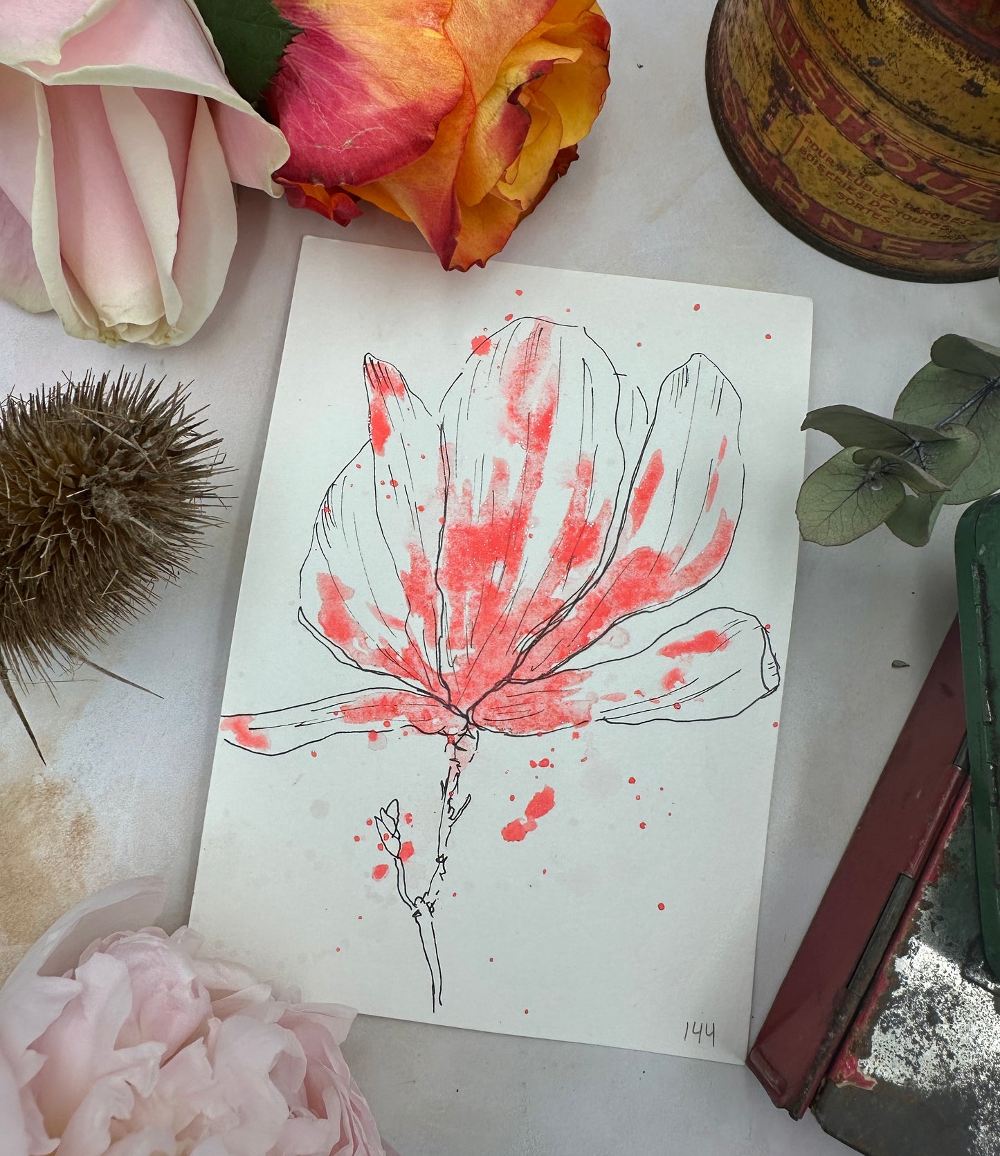 Coral Holo - No. 144