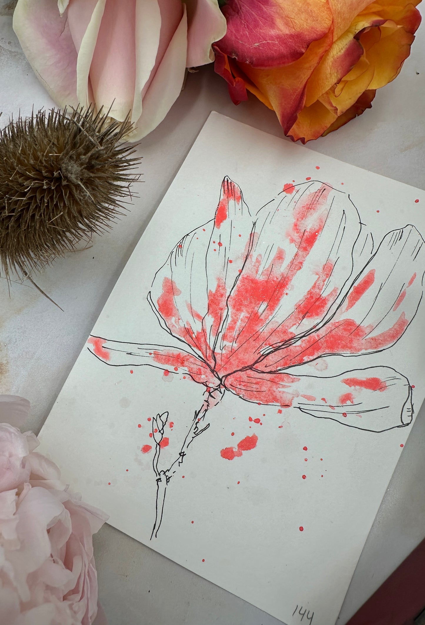 Coral Holo - No. 144