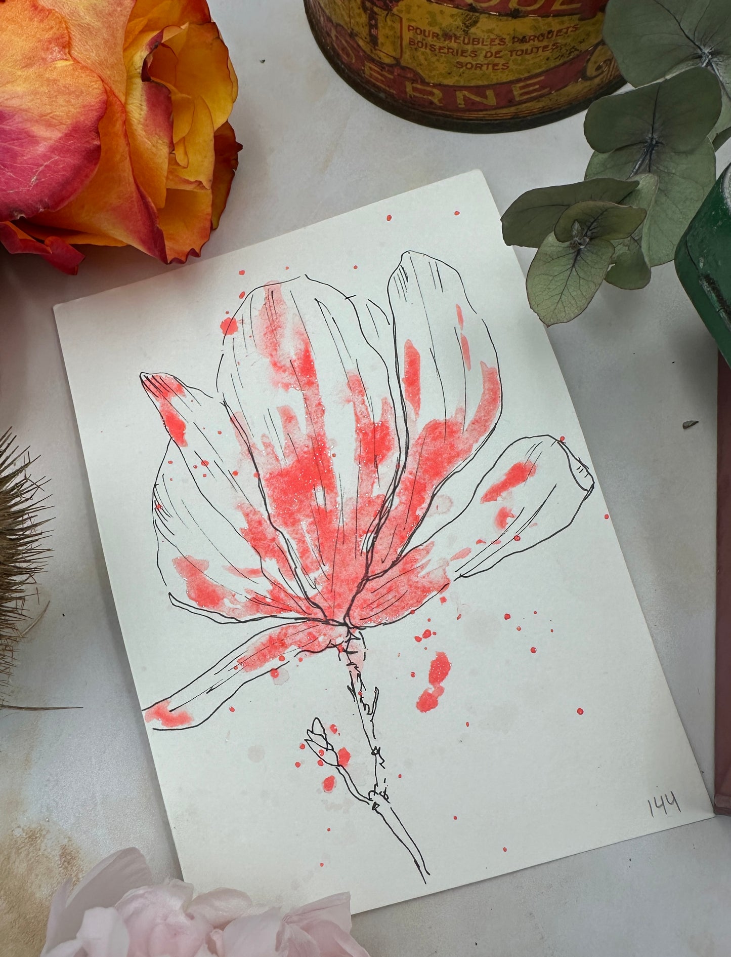 Coral Holo - No. 144