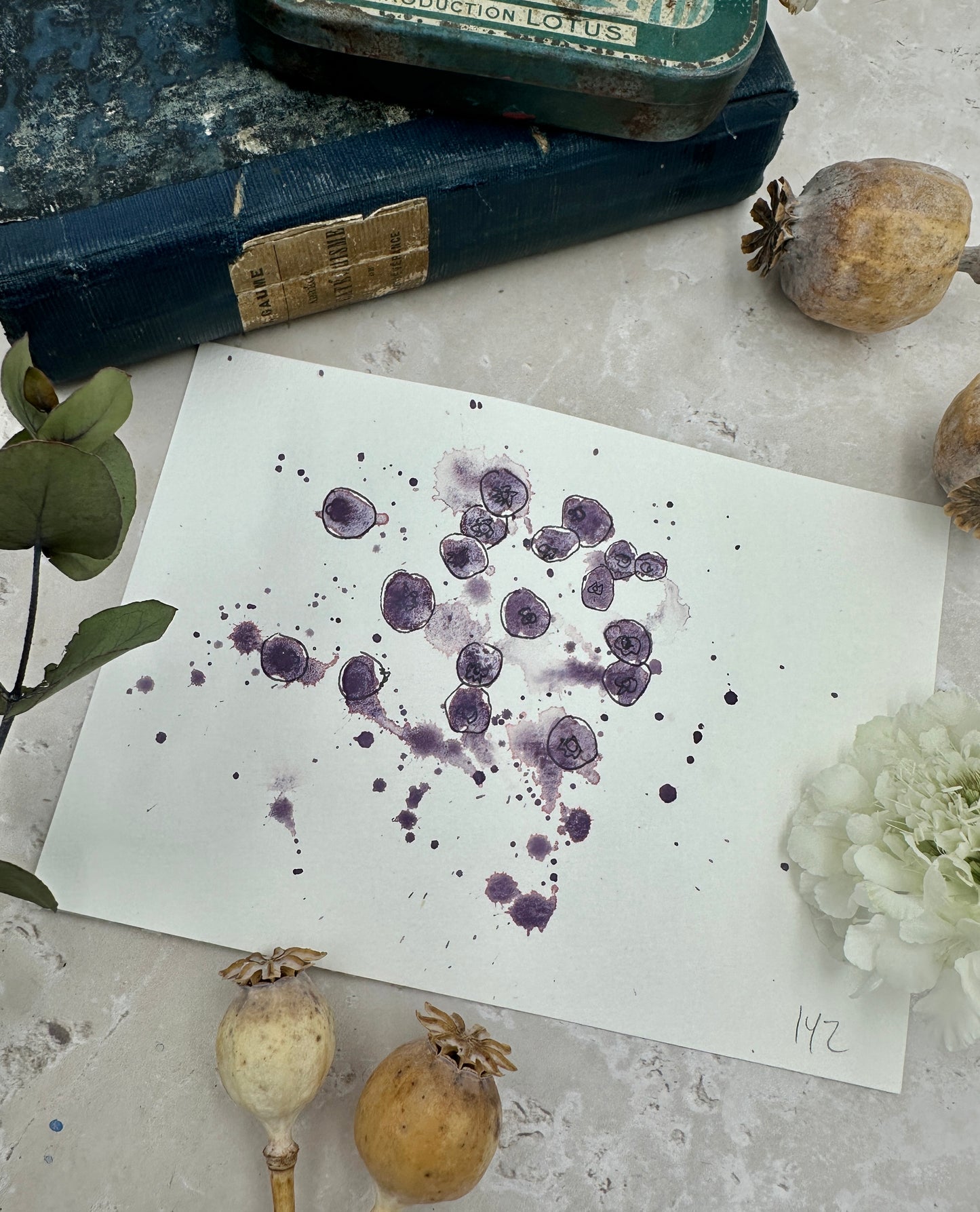 Purple Peony - No. 142