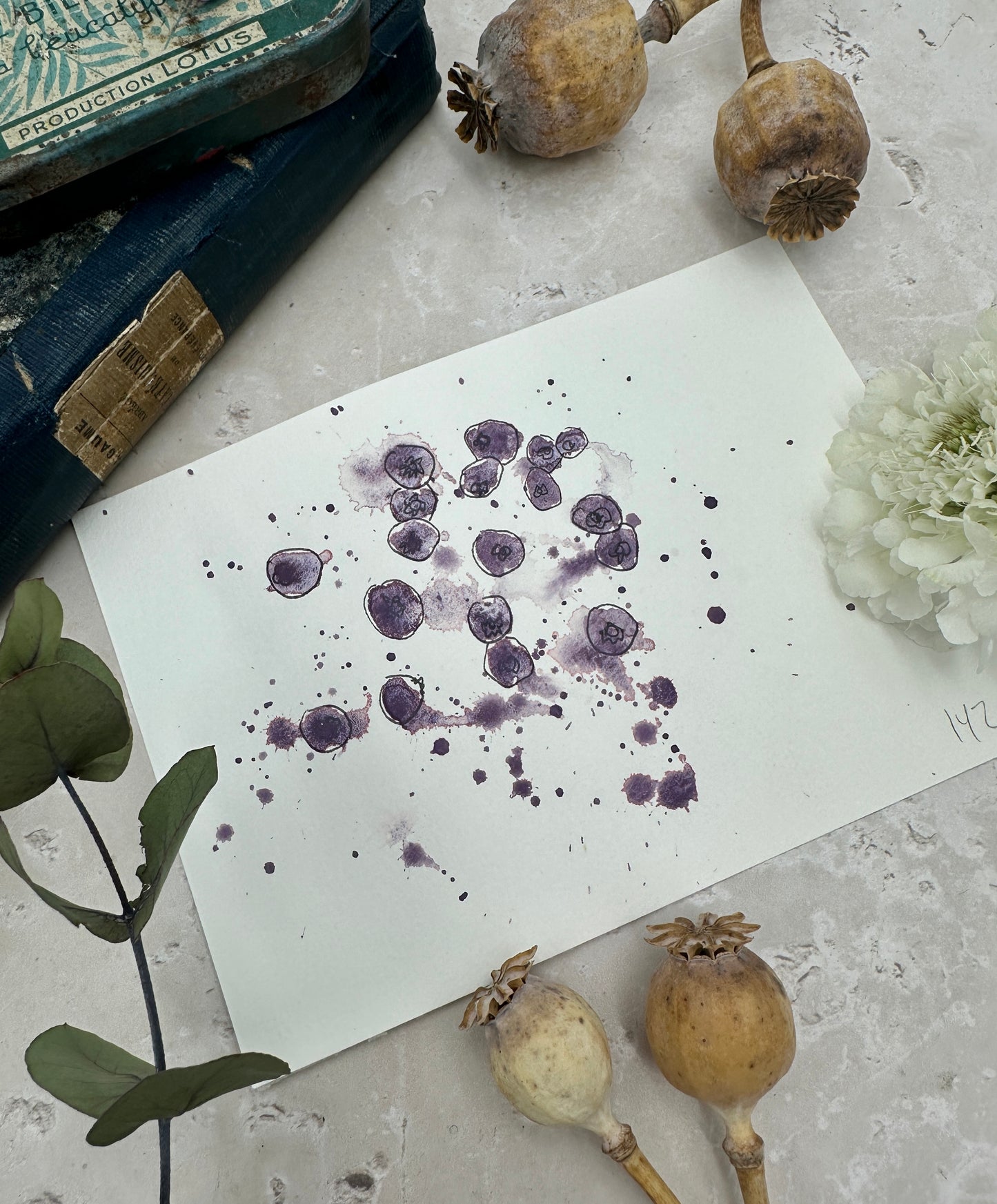 Purple Peony - No. 142