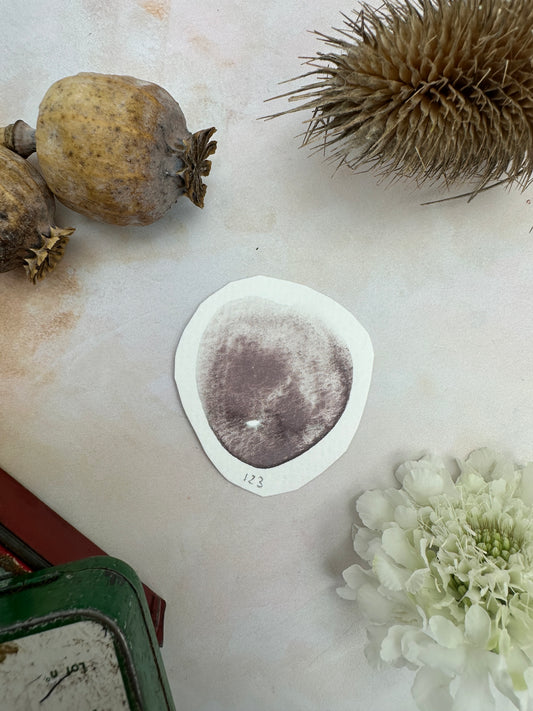 Clever Egg - No. 123