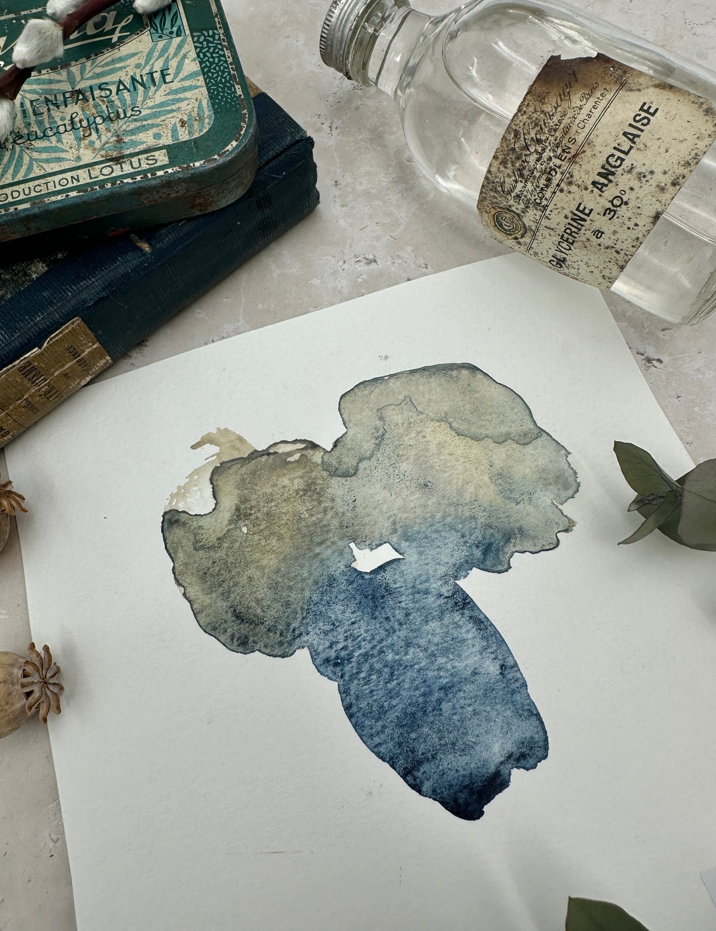 Medium Olive Tree - No. 19