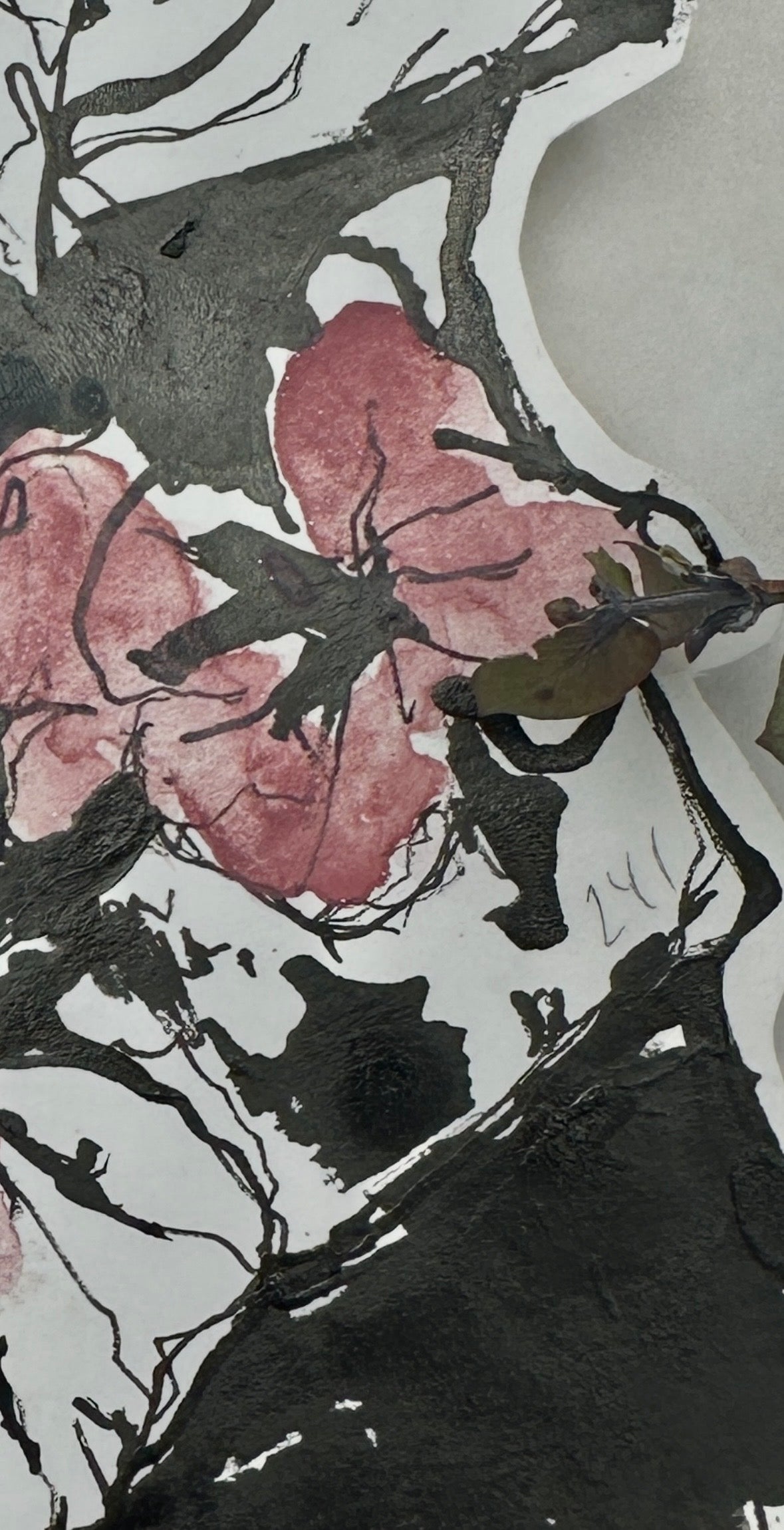 Delight - No. 241 - half pan