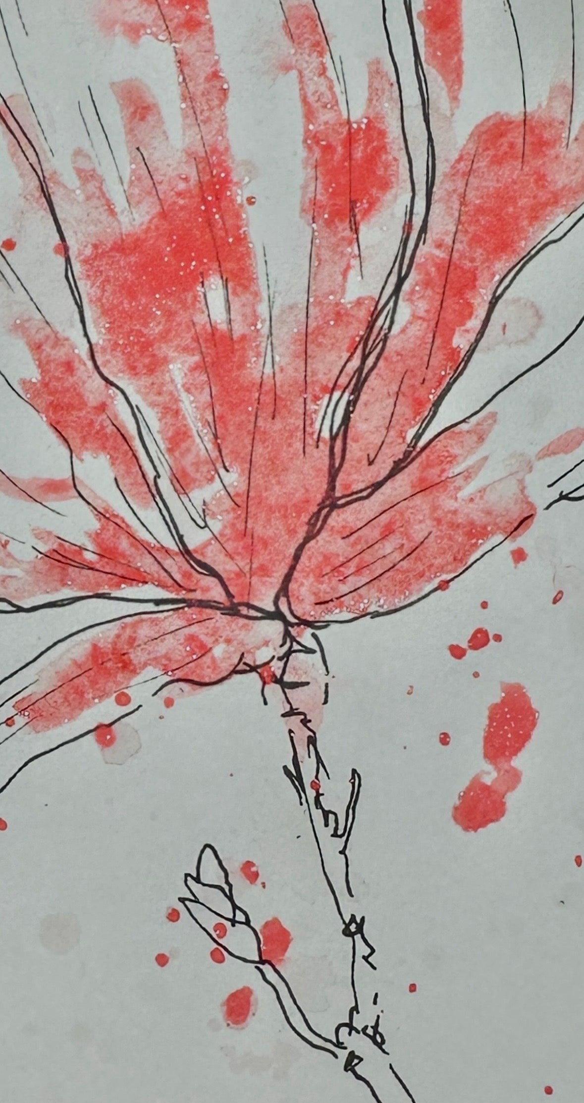 Coral Holo - No. 144