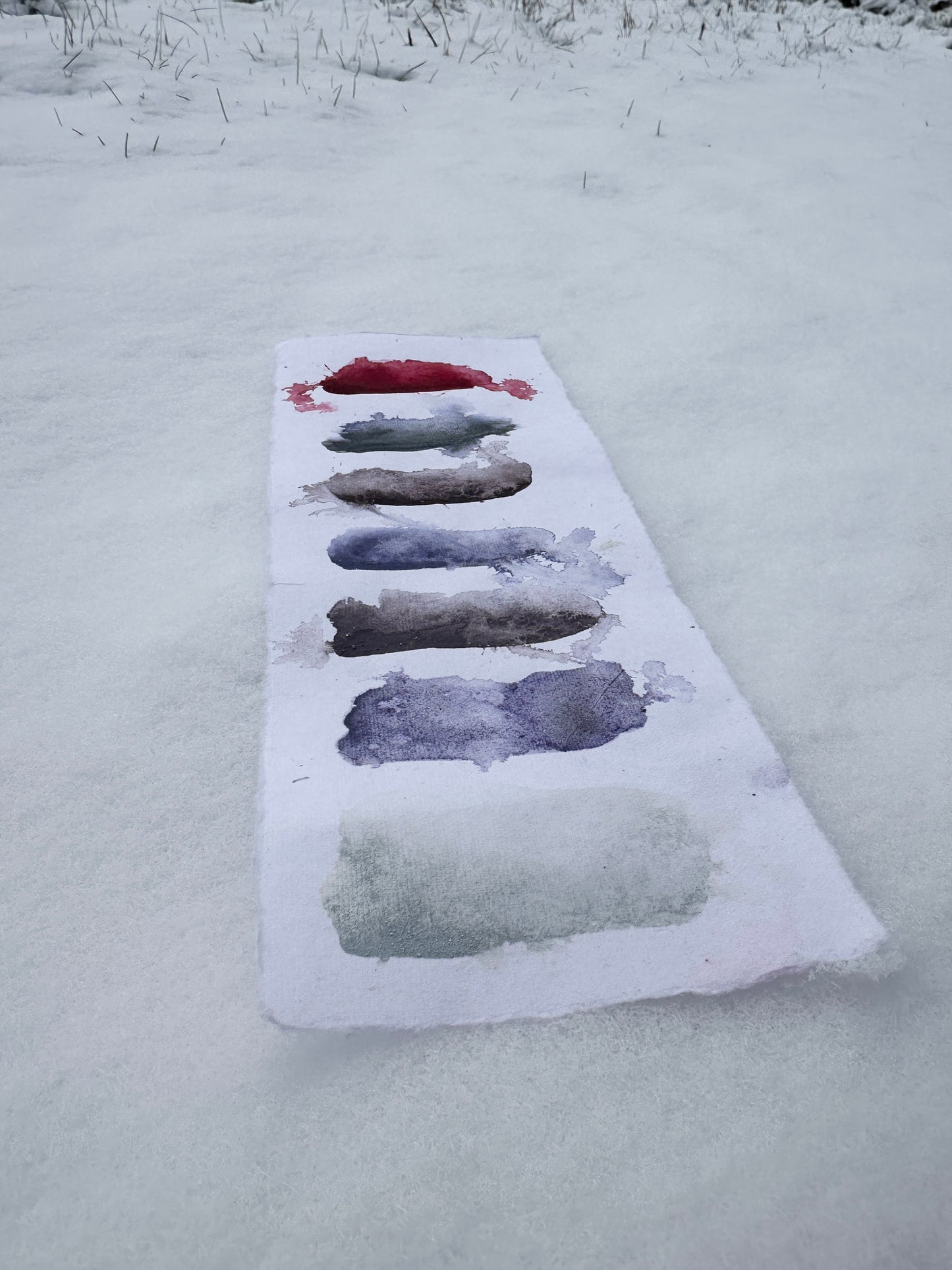 The Greenland Palette - Preorder. Limited Edition