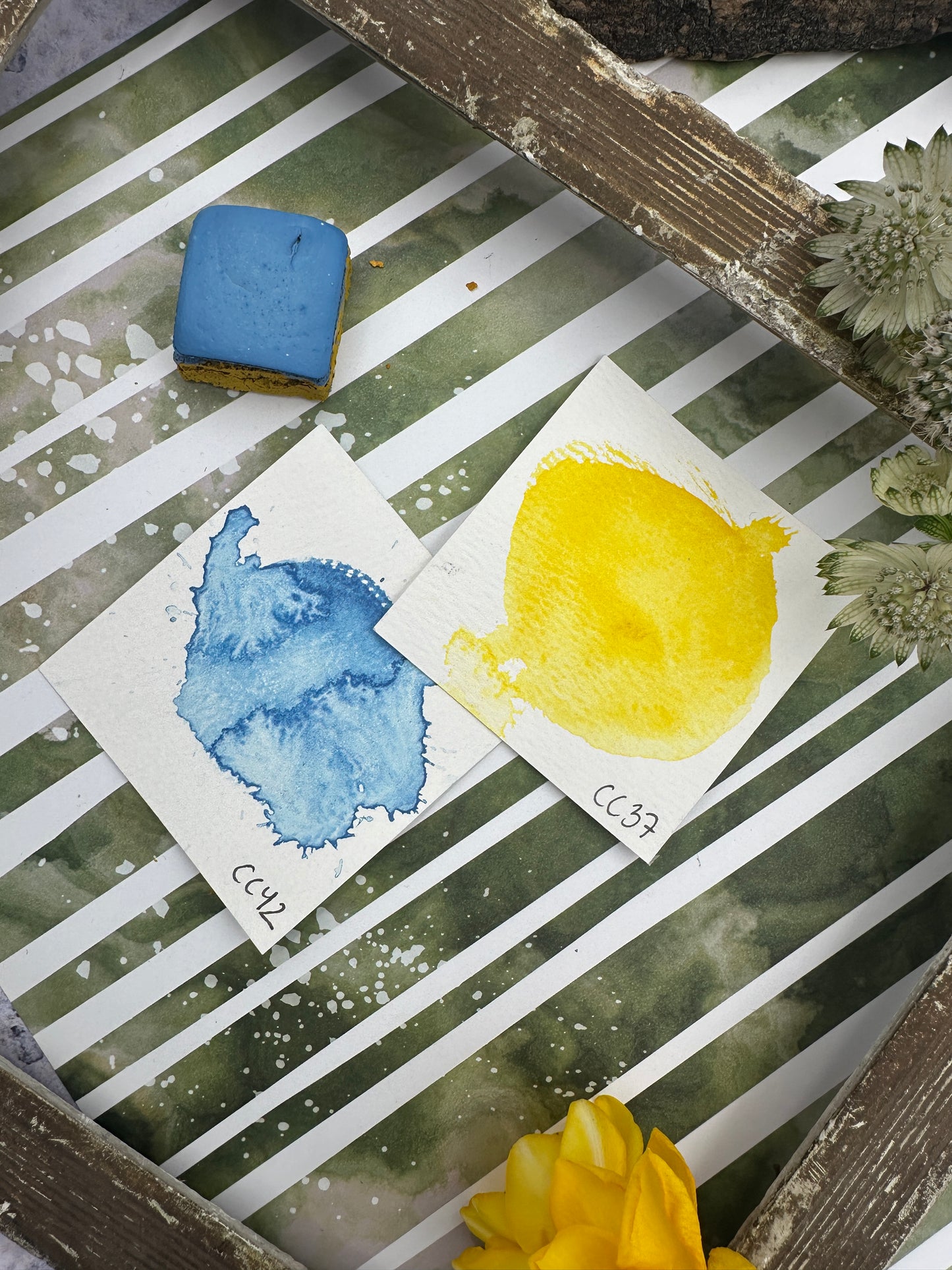 Color Cube Grande, Signal & Pulse - CC37/CC42