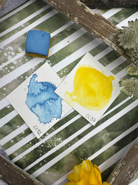 Color Cube Grande, Signal & Pulse - CC37/CC42