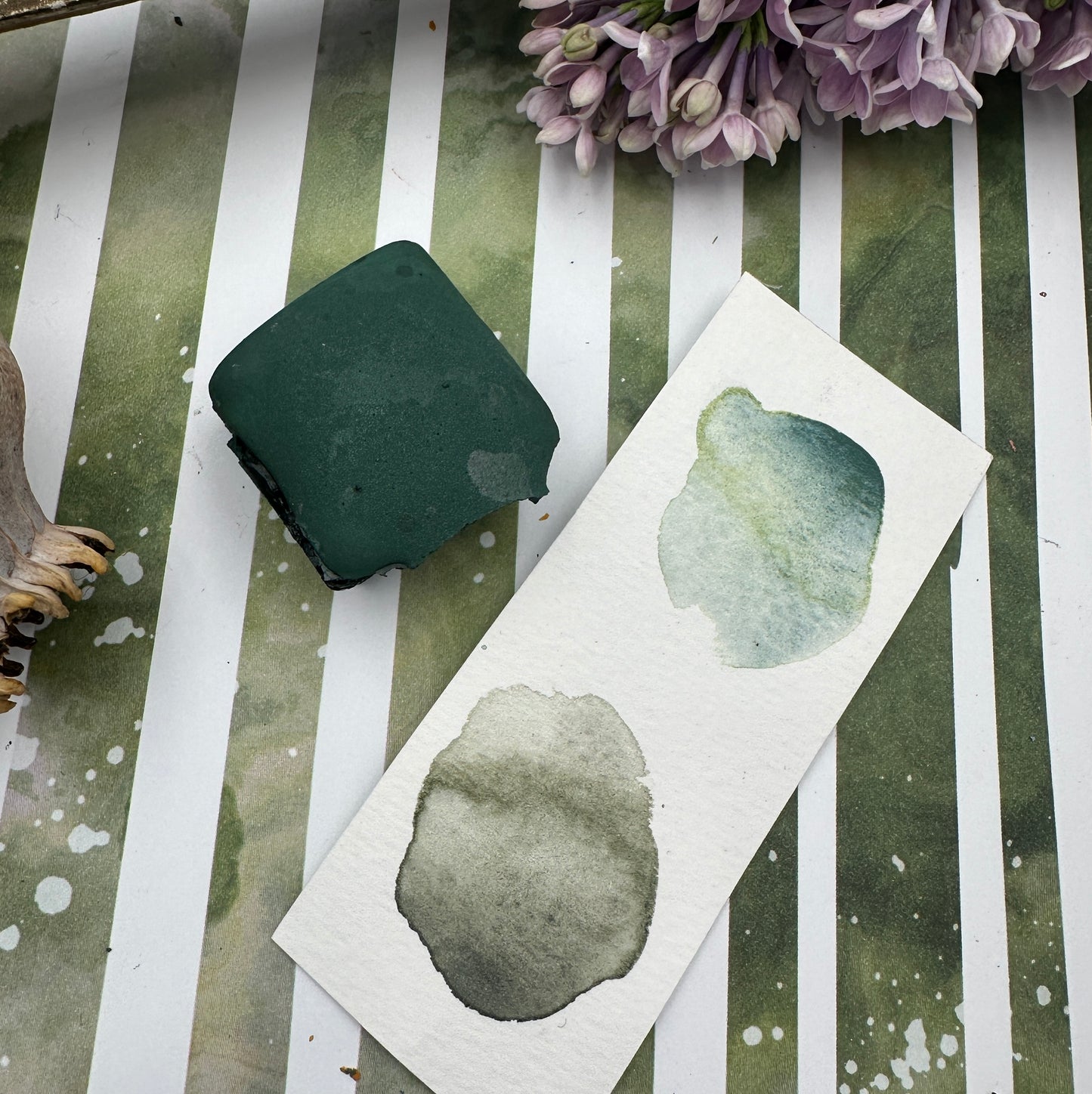 Color Cube Grande, Evergreen & Lichen - CC24/CC39