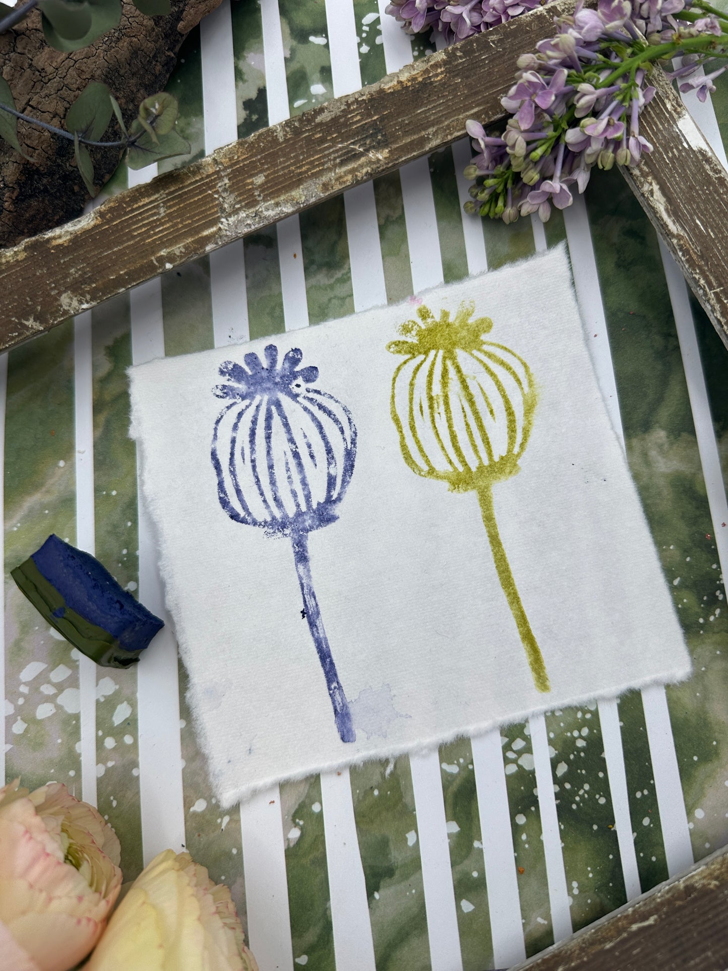 Color Cube Grande, Indigo Ash & Olive