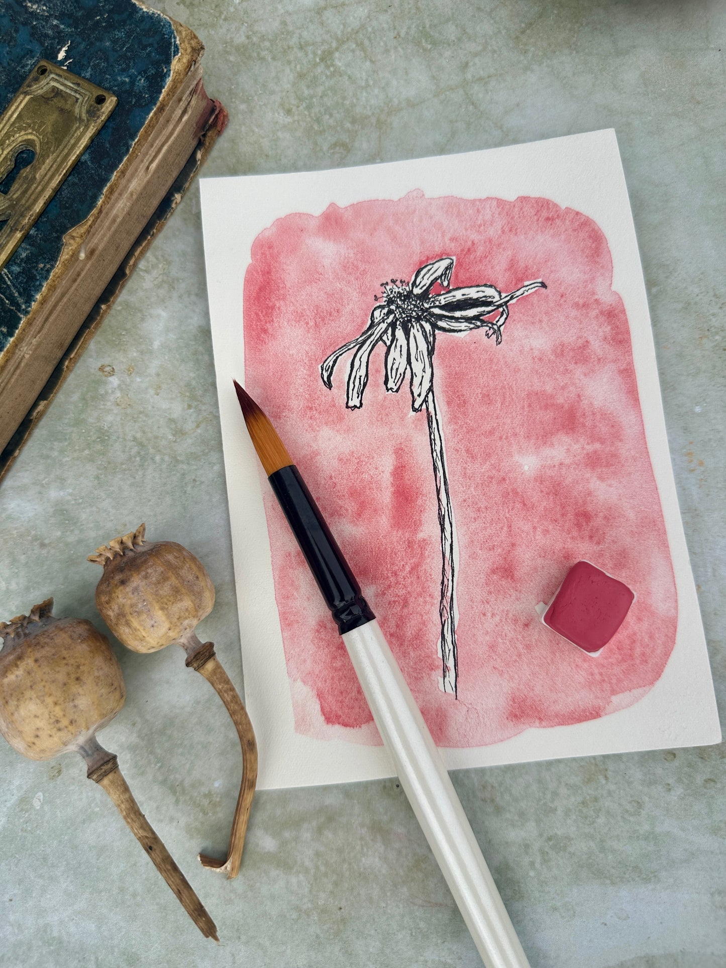 Bunny Bliss Coral - No. 230 - half pan