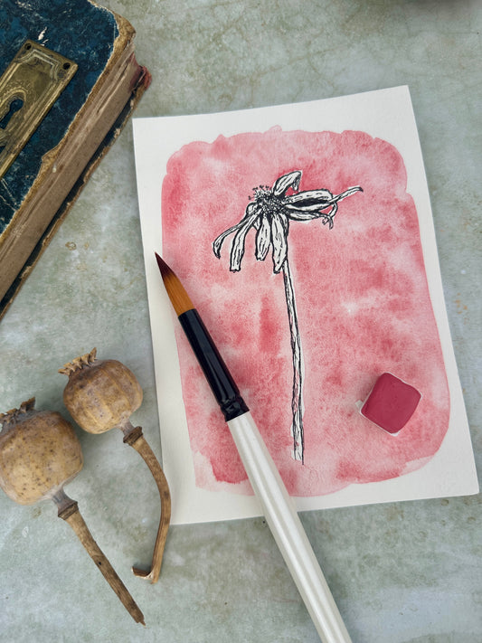 Bunny Bliss Coral - No. 230 - half pan