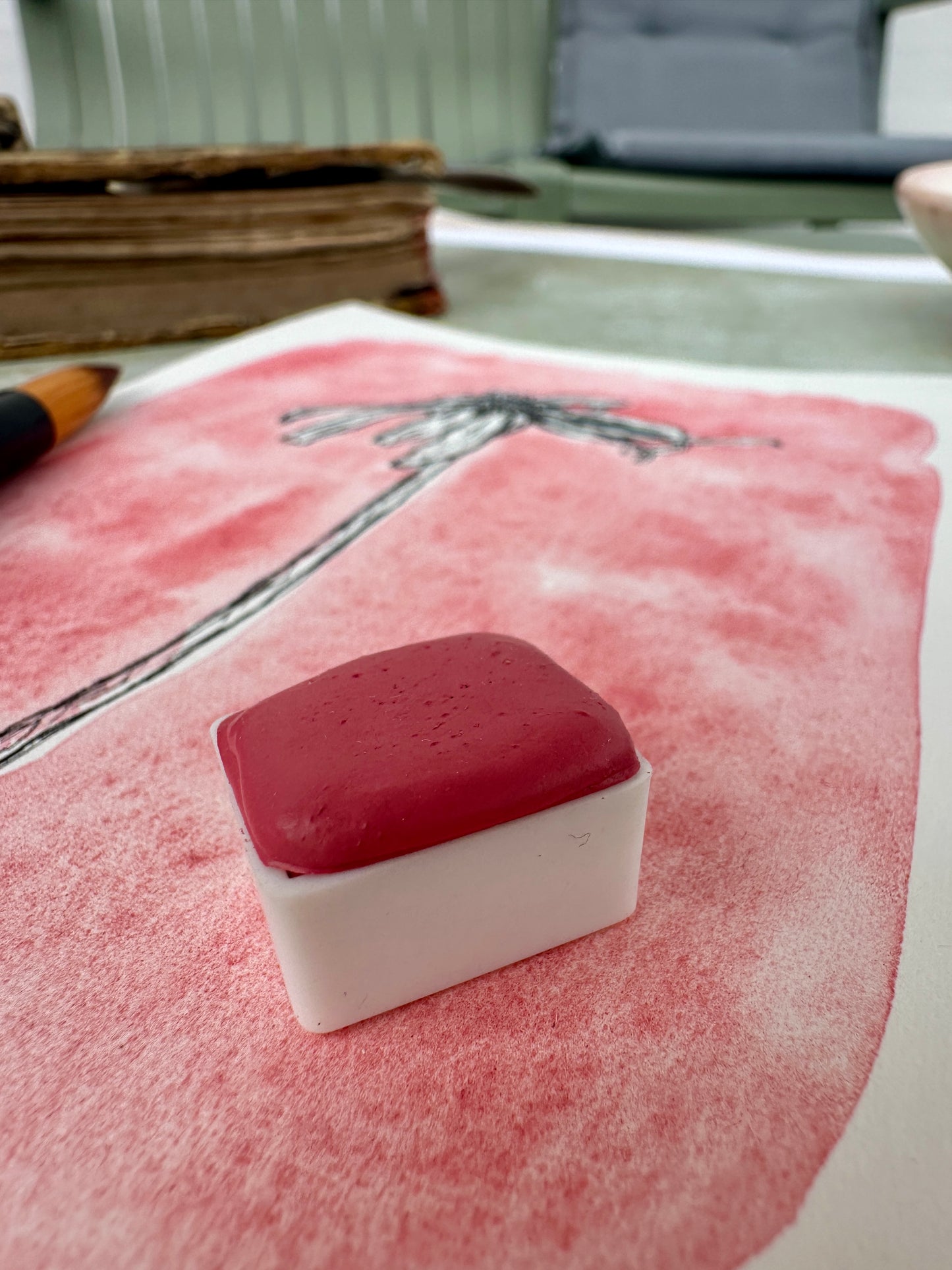 Bunny Bliss Coral - No. 230 - half pan