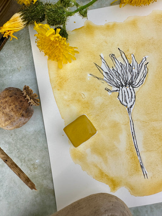 Duckling Parade - No. 228 - half pan