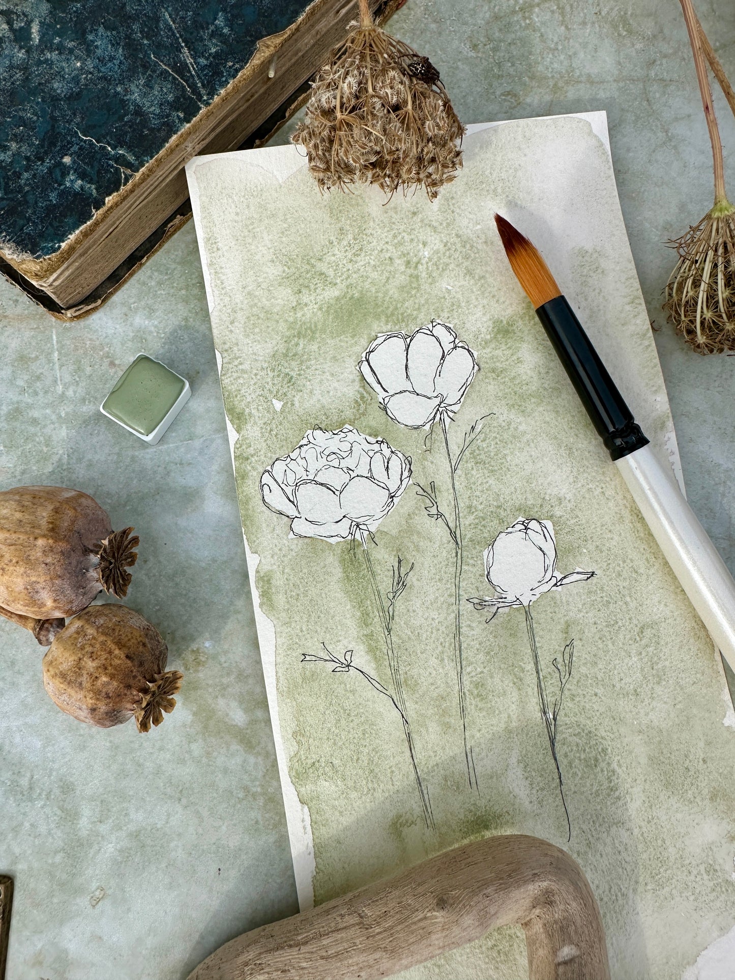 Dreamland Sage - no. 226 - half pan