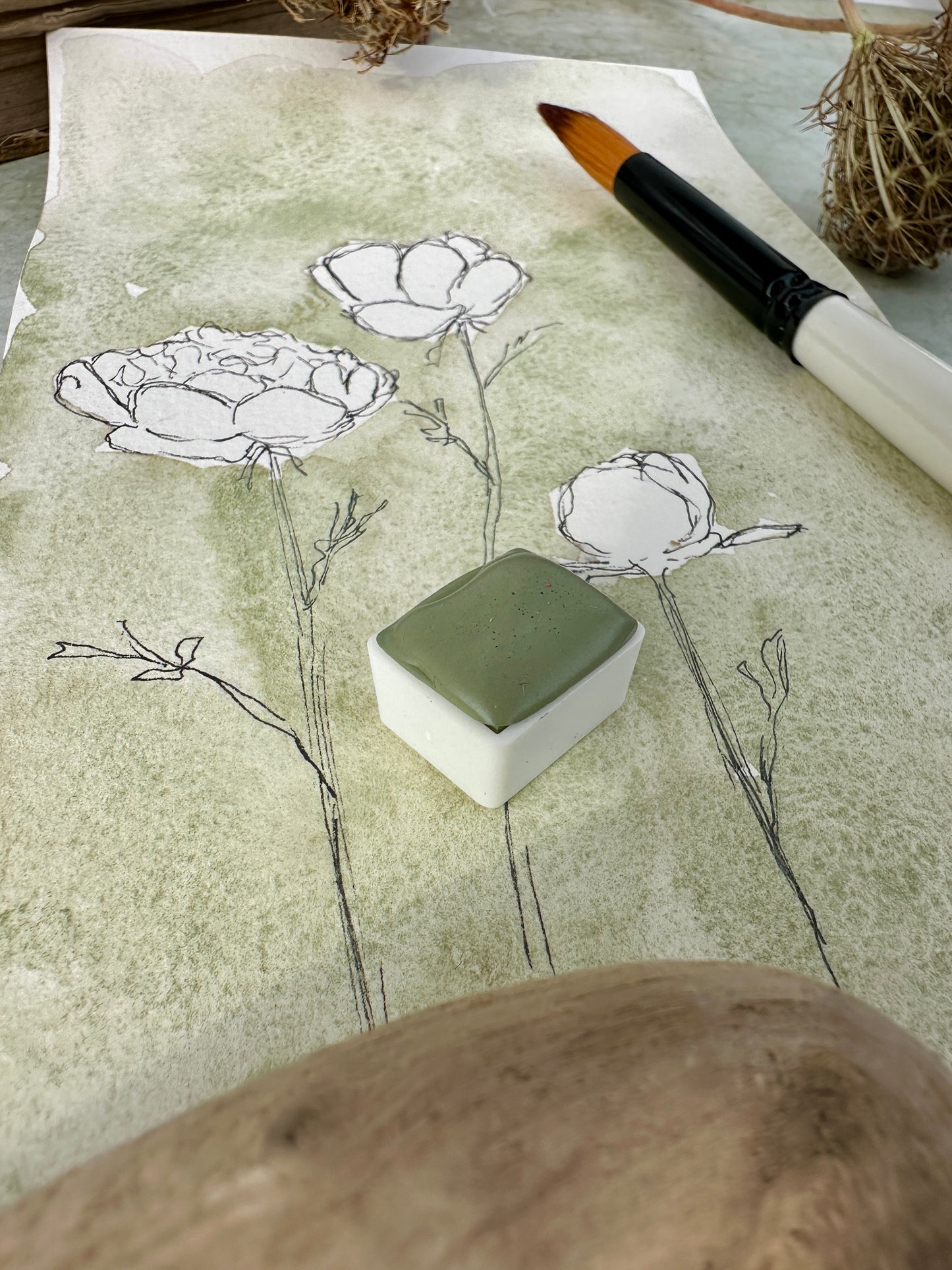 Dreamland Sage - no. 226 - half pan