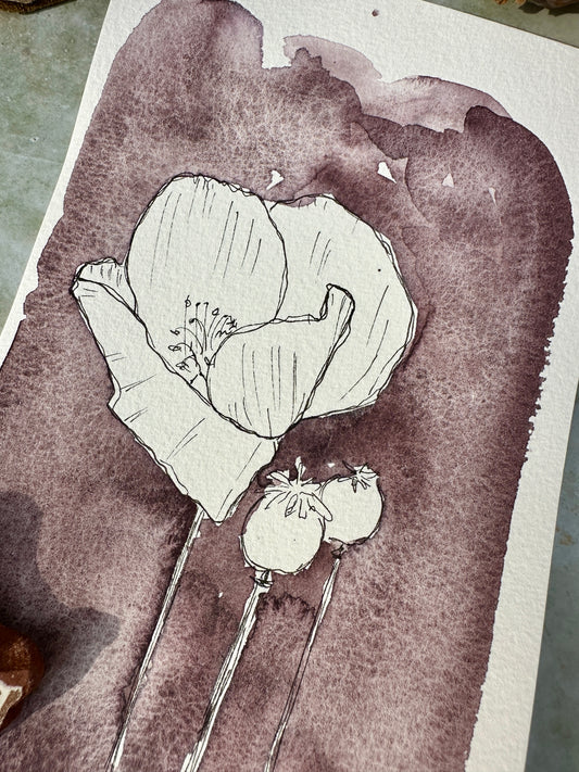 Kidney Bean Red no. 232 - halfpan