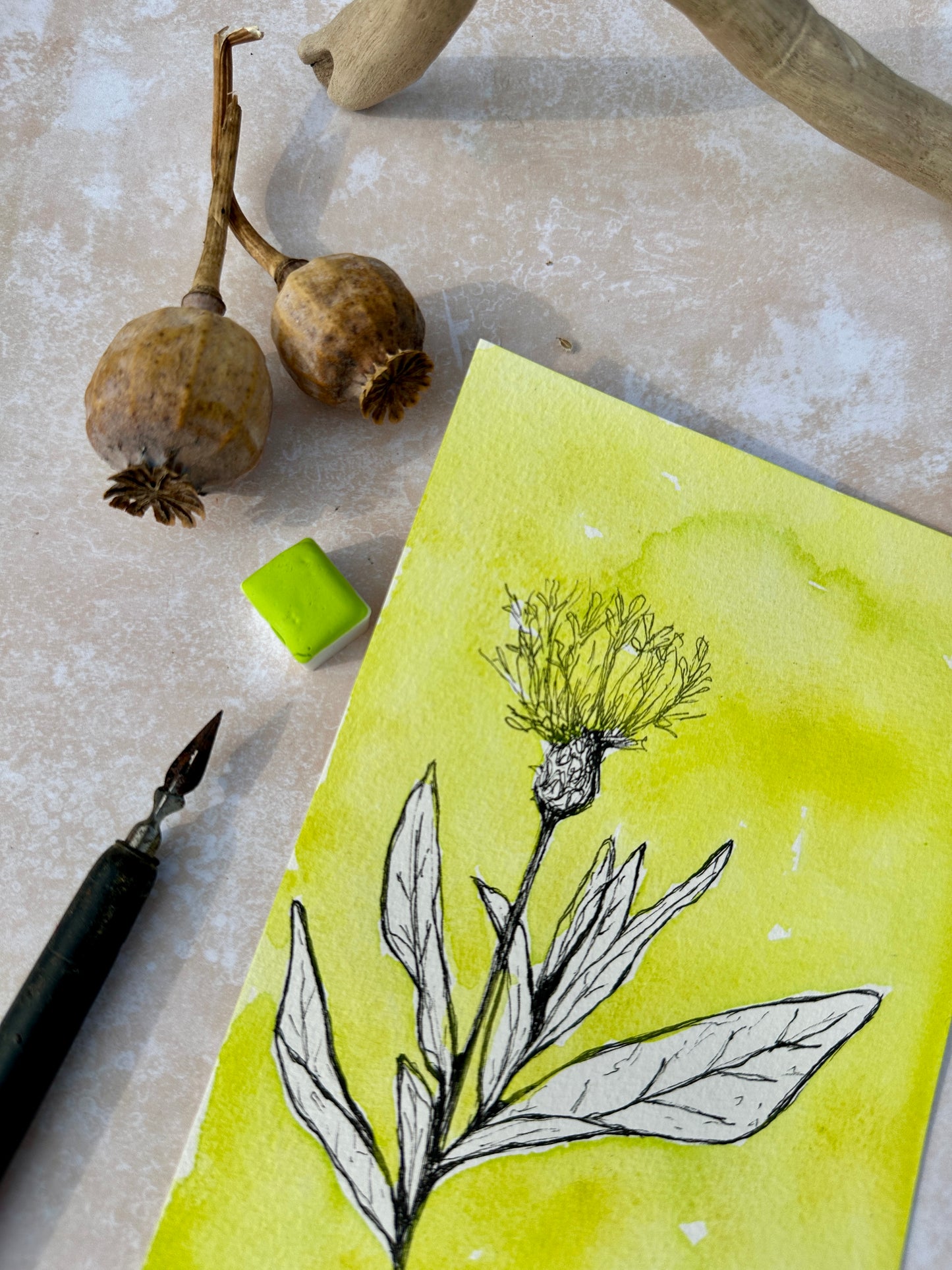 Lime Zest - No. 222- half pan