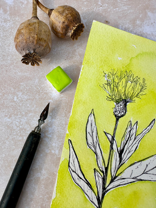 Lime Zest - No. 222- half pan