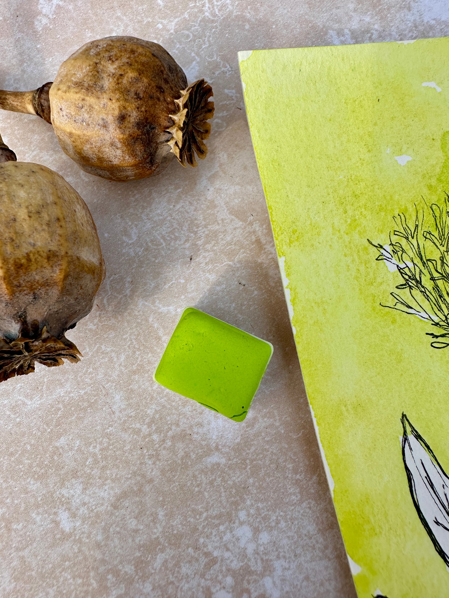 Lime Zest - No. 222- half pan