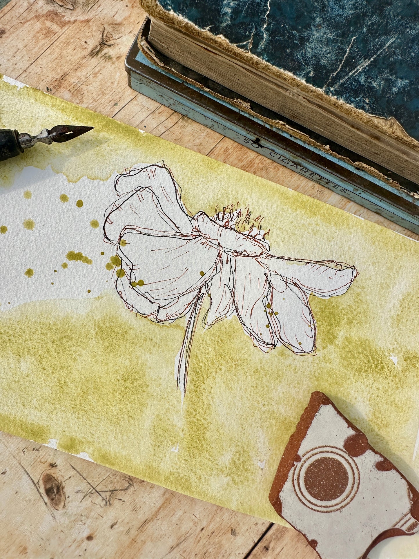 Spring Meadow  - no. 227