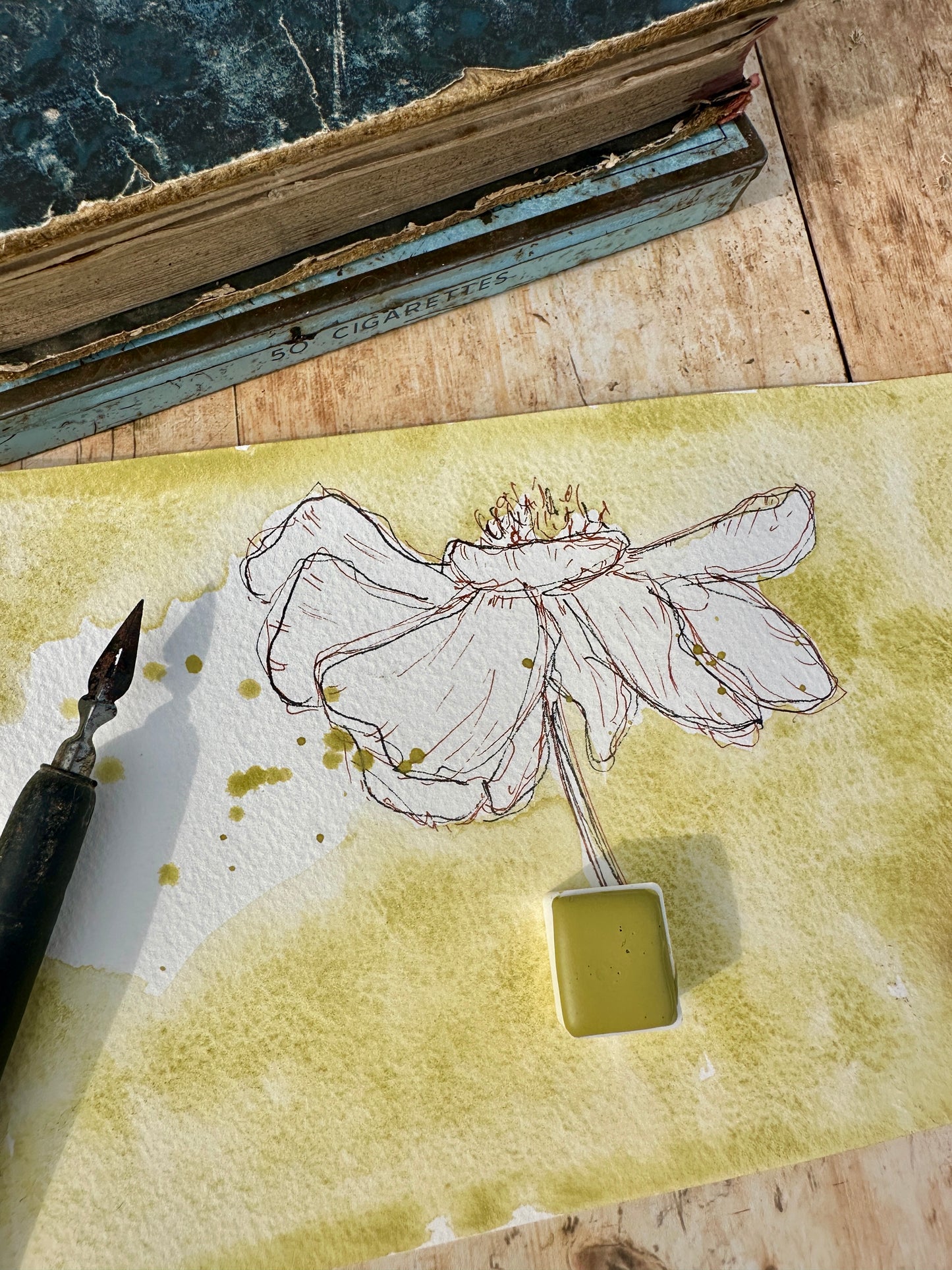 Spring Meadow  - no. 227