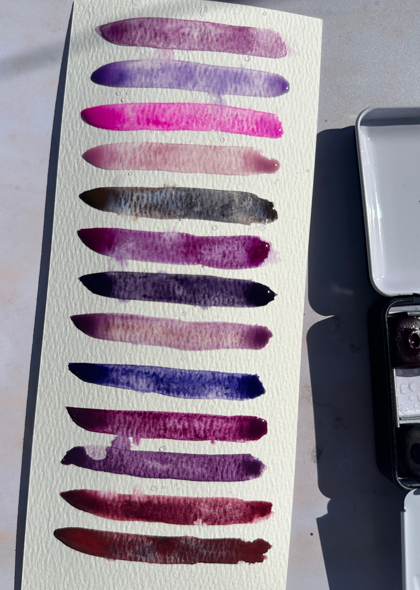 The Purple Palette of Time 2026