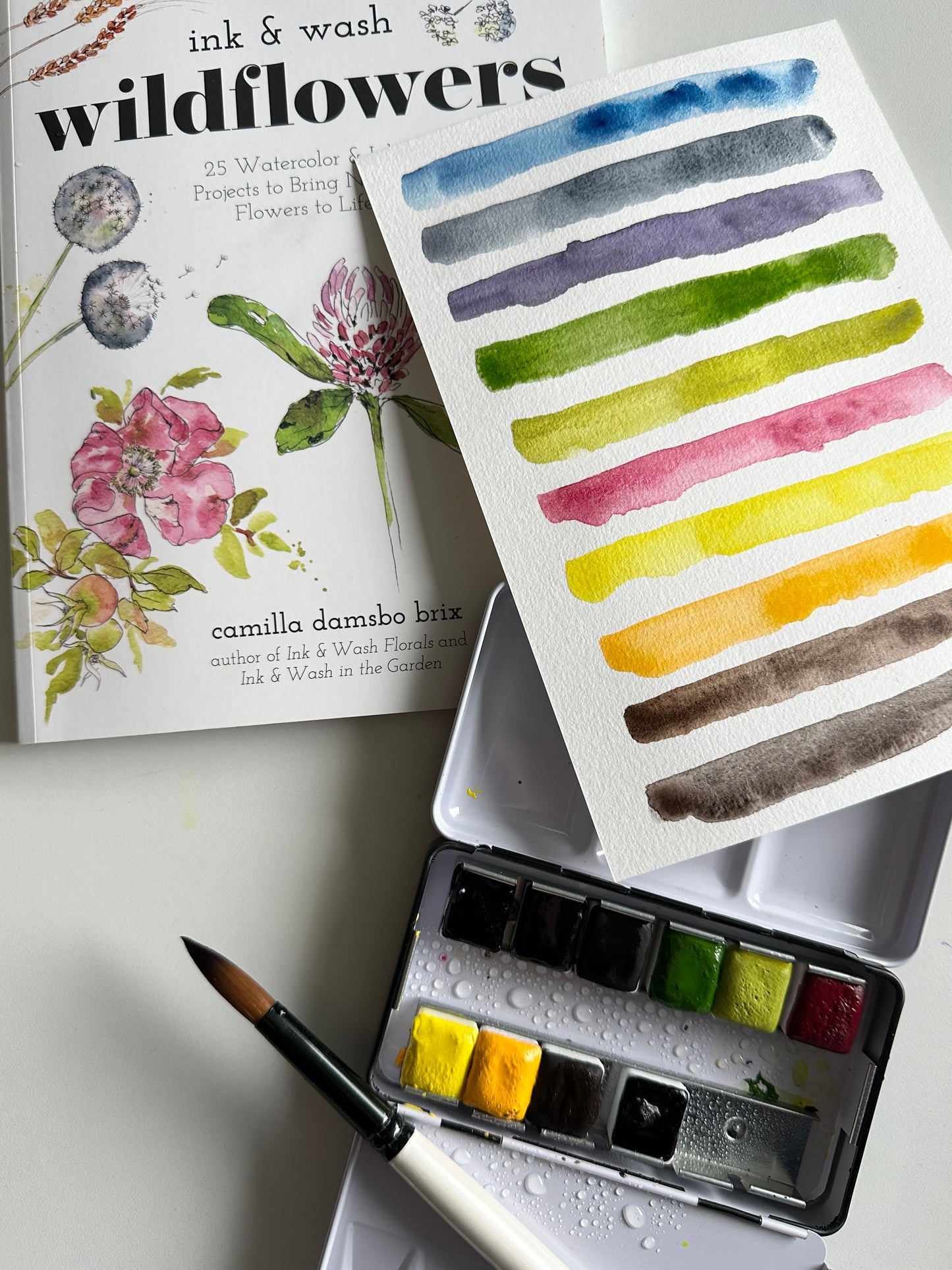 The ink & wash Wildflowers Palette