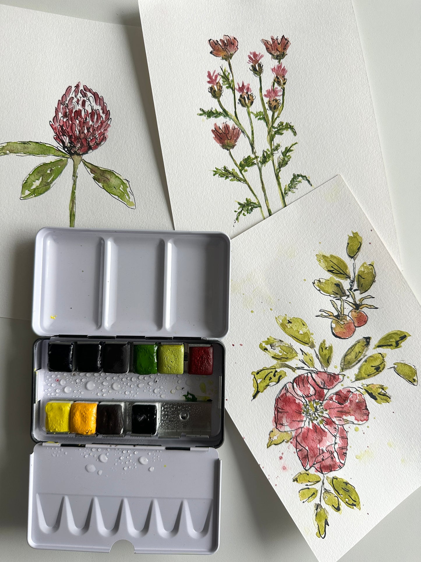 The ink & wash Wildflowers Palette