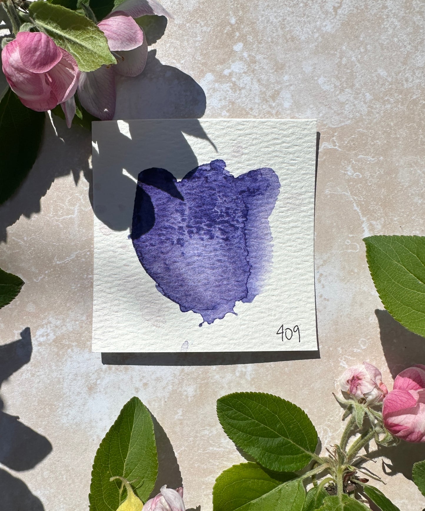 The Purple Palette of Time 2026