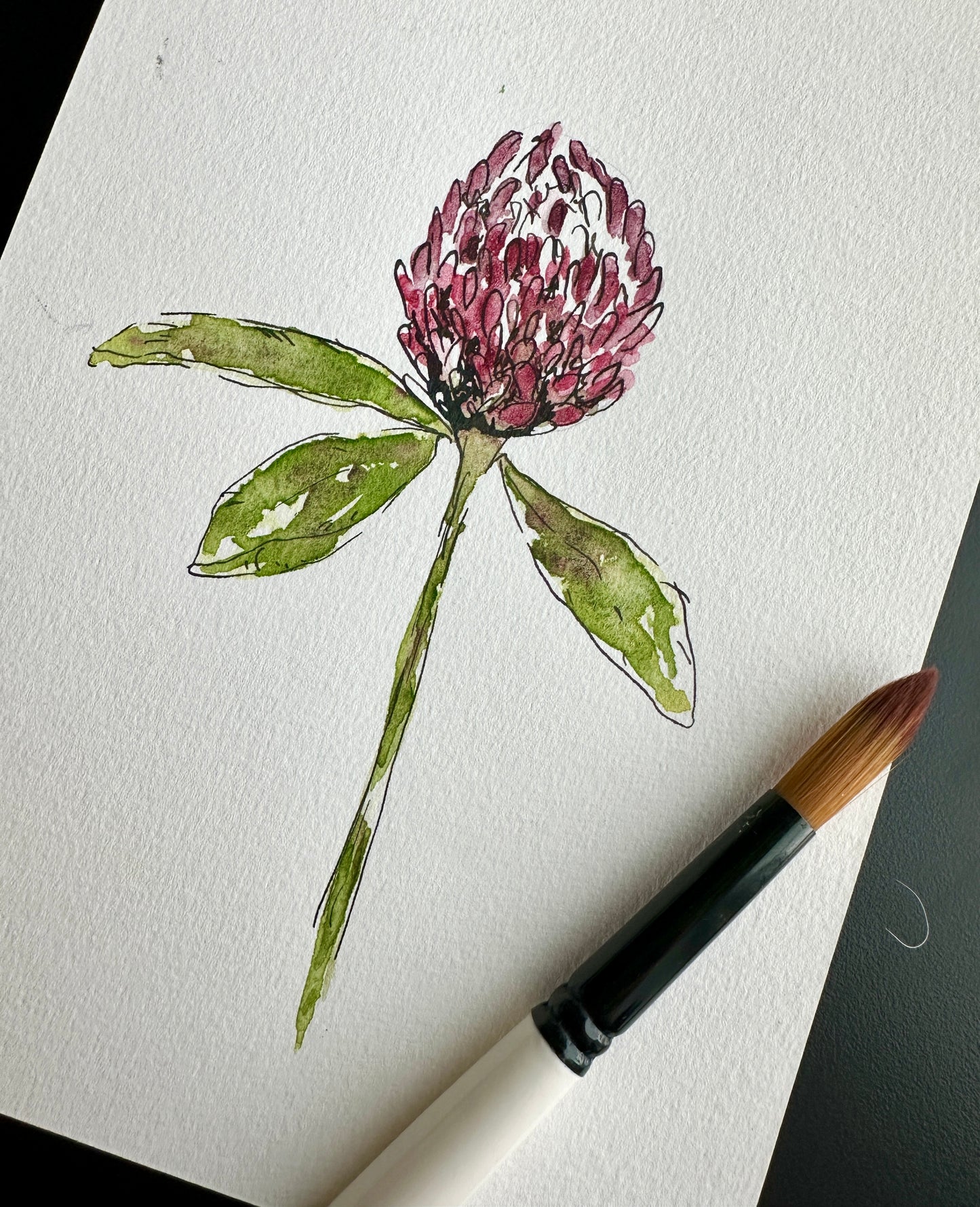 The ink & wash Wildflowers Palette