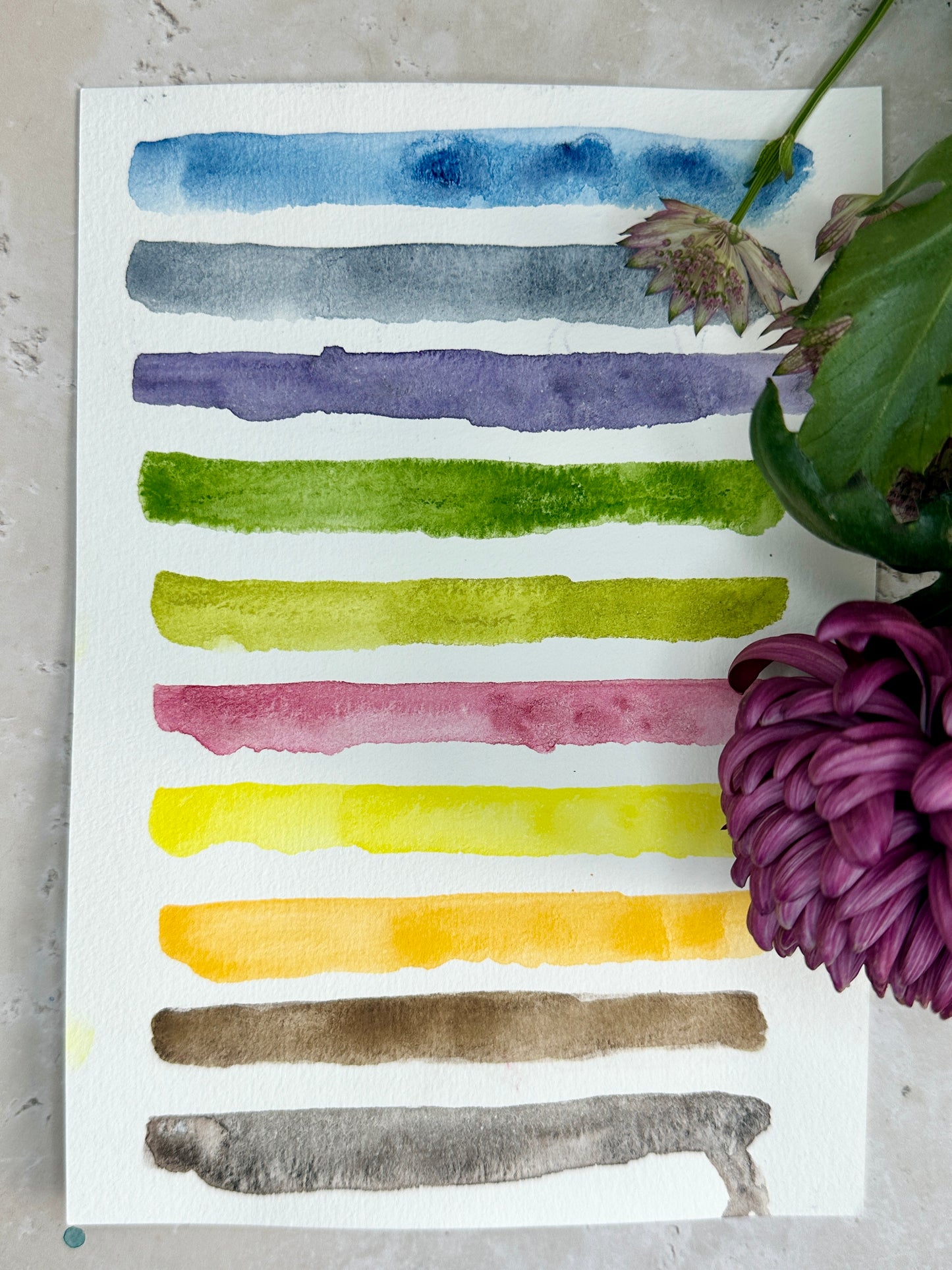 The ink & wash Wildflowers Palette