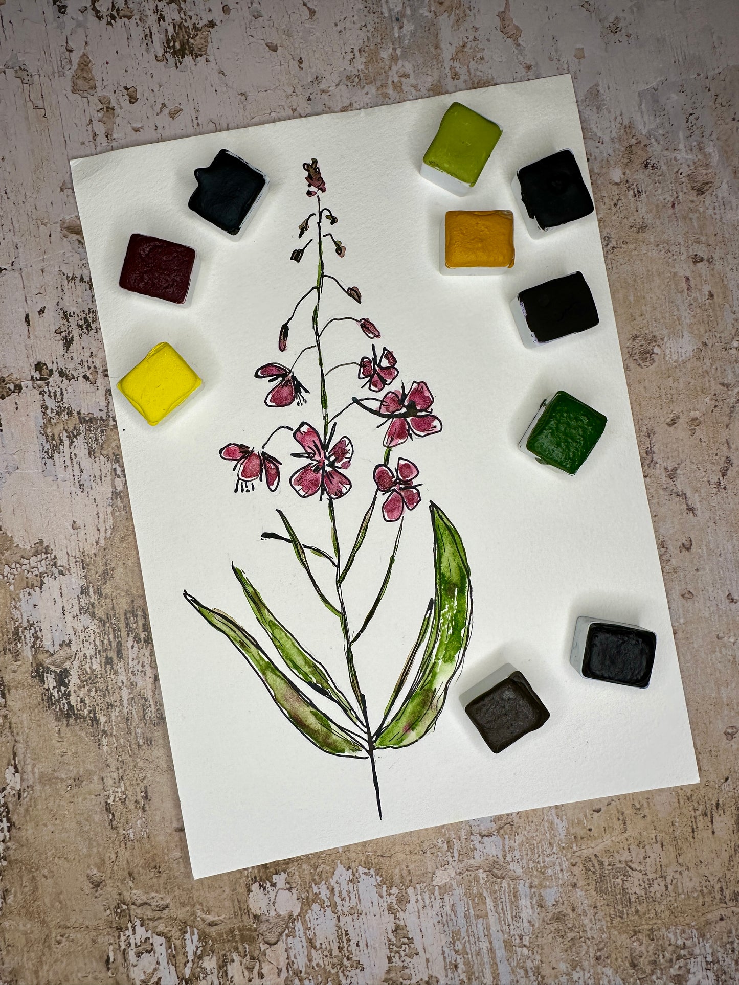 The ink & wash Wildflowers Palette