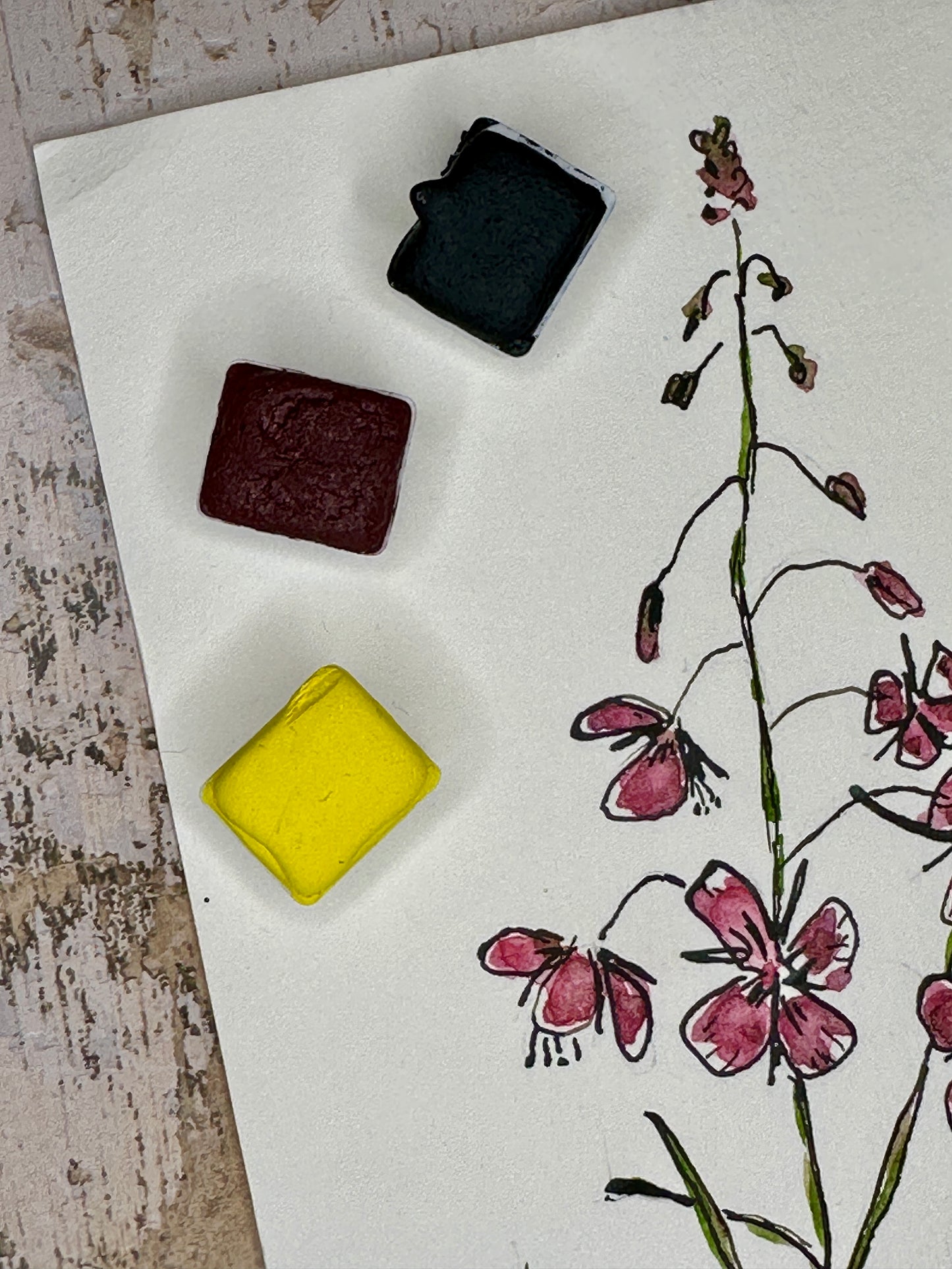 The ink & wash Wildflowers Palette